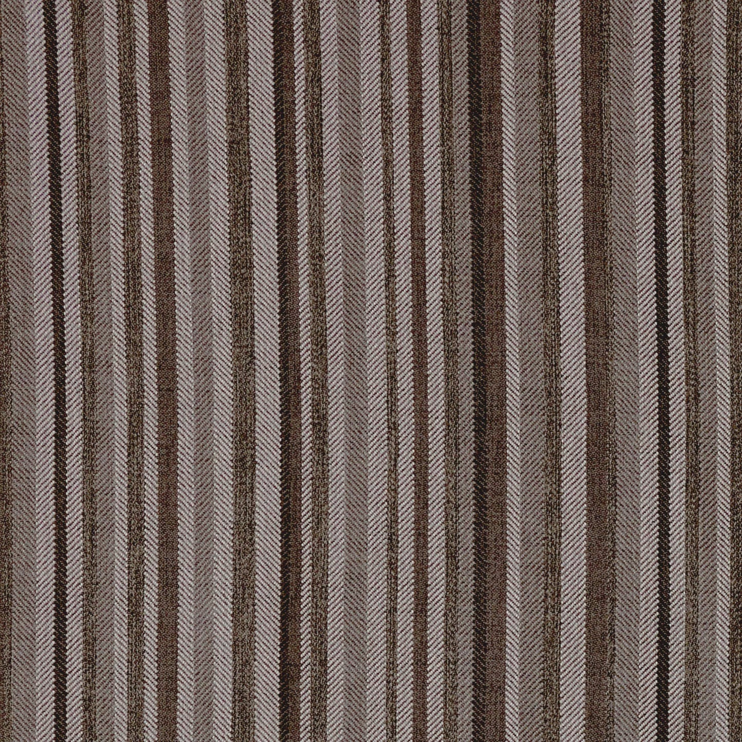 Dundee by Warwick Fabrics