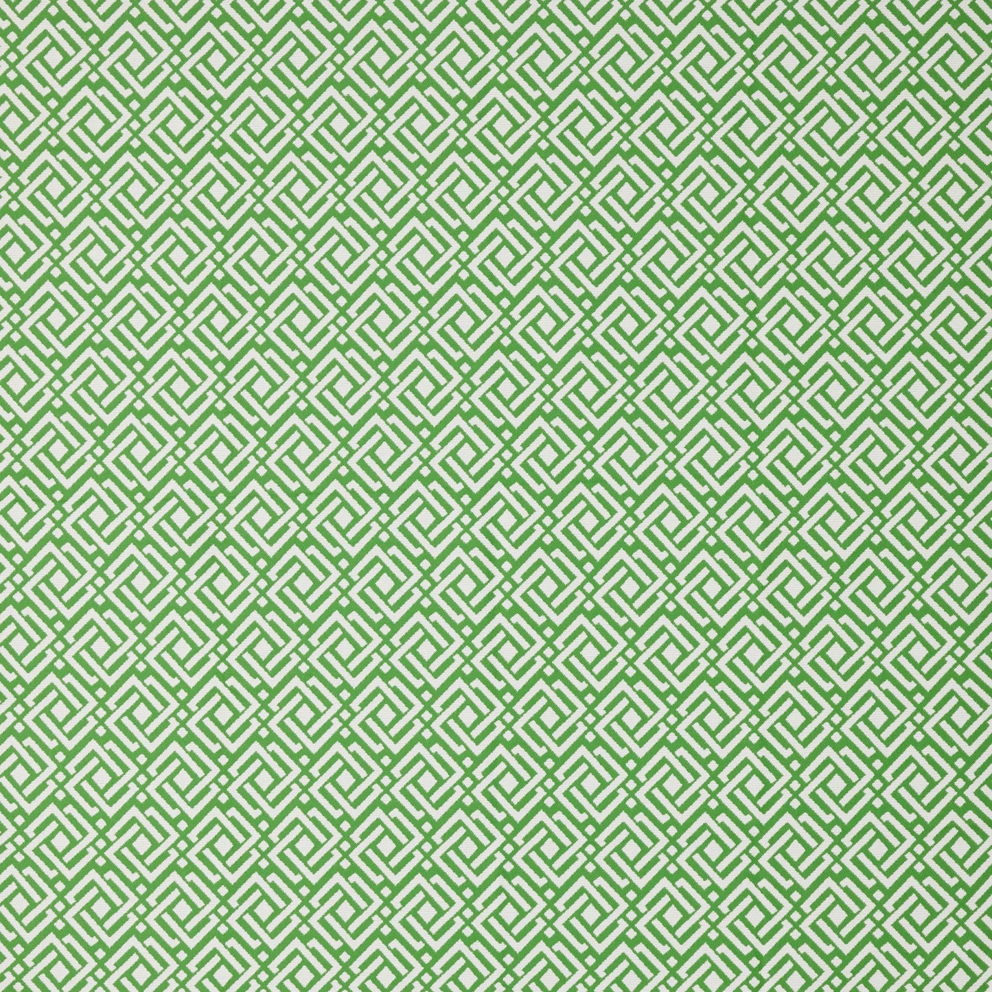Joss Monstera by Warwick Fabrics