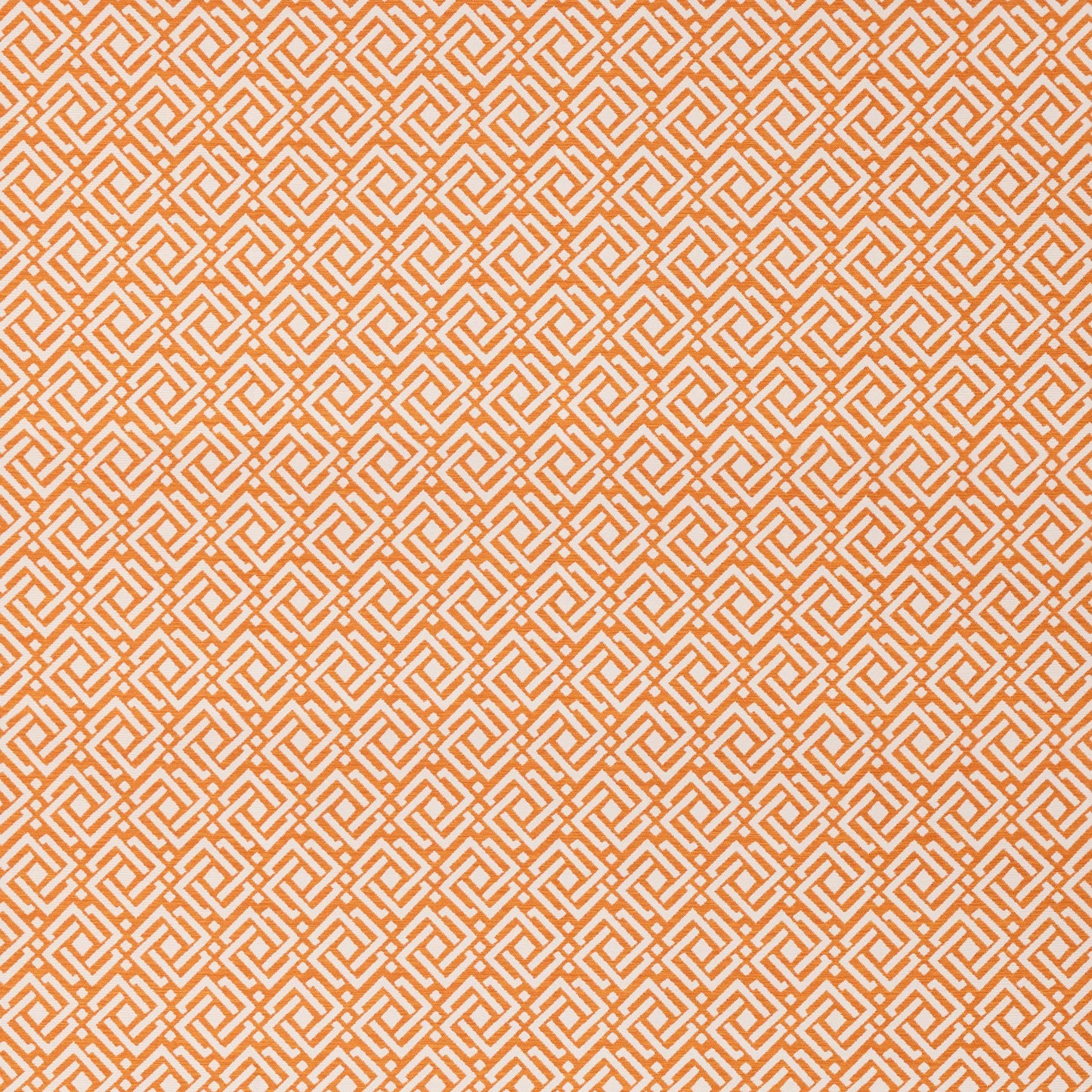 Joss Orange by Warwick Fabrics