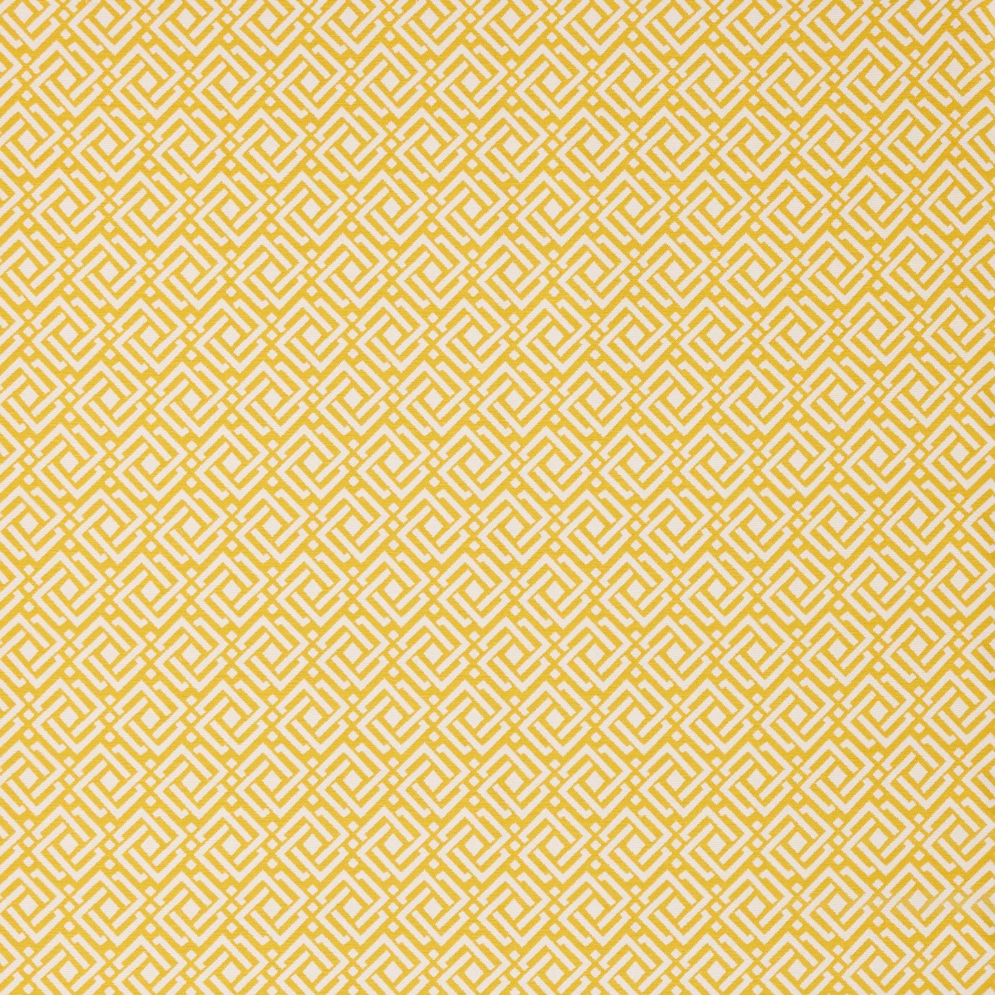 Joss Sunshine by Warwick Fabrics