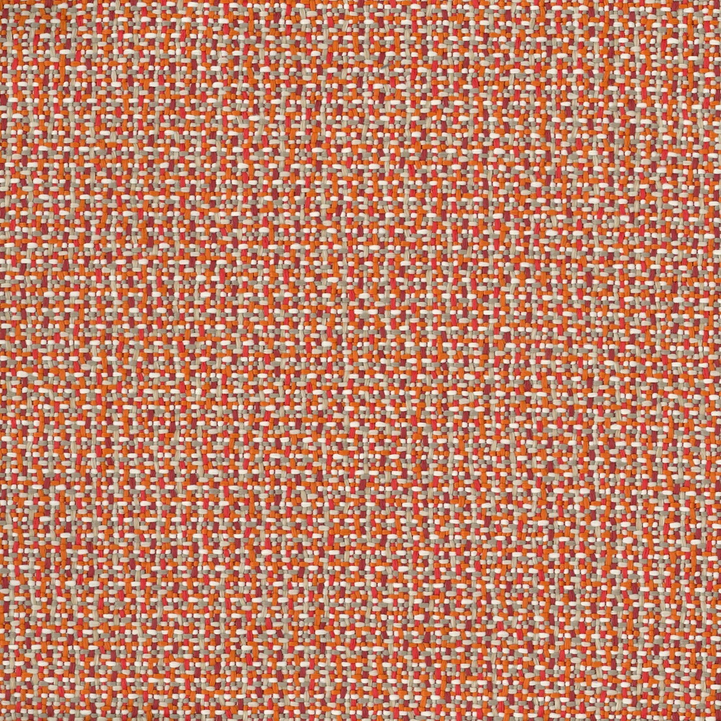 Kuata Lobster by Warwick Fabrics