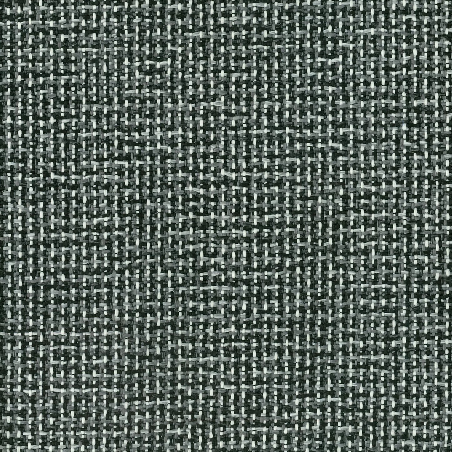 Kuata Orca by Warwick Fabrics