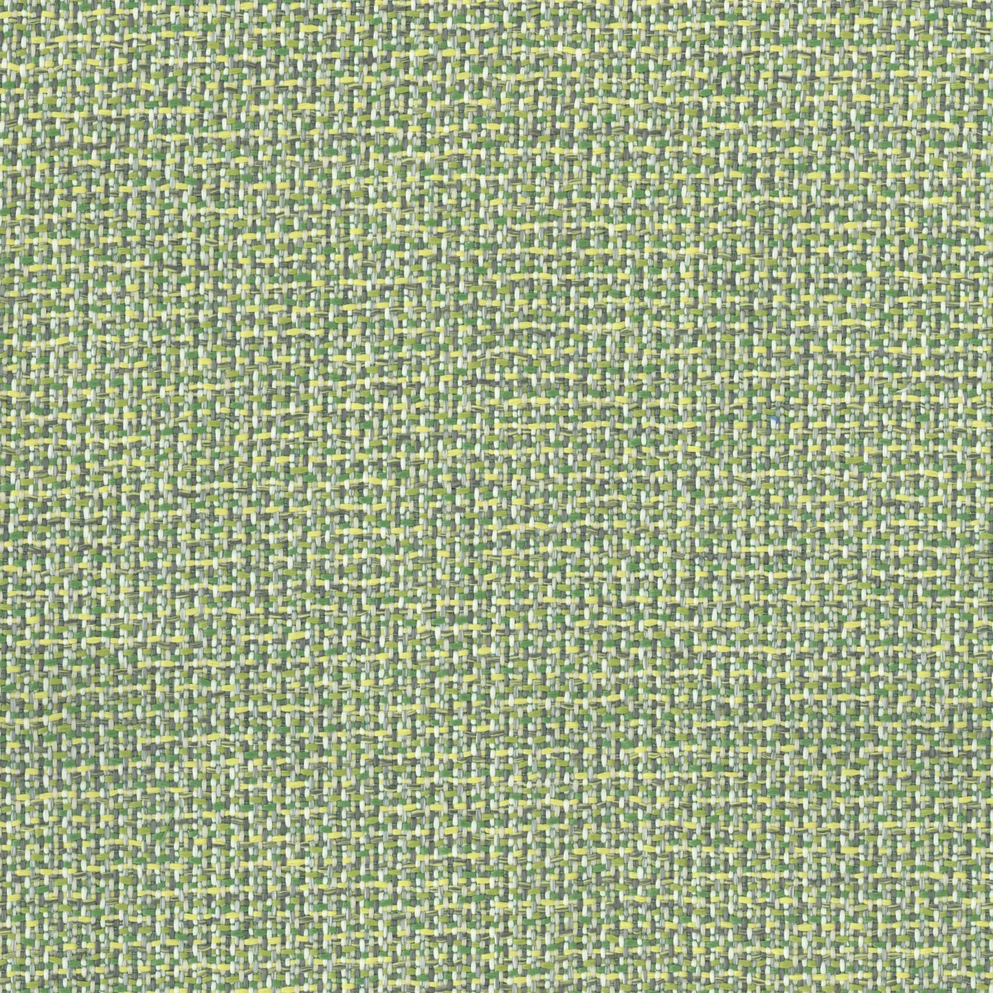 Kuata Palm by Warwick Fabrics