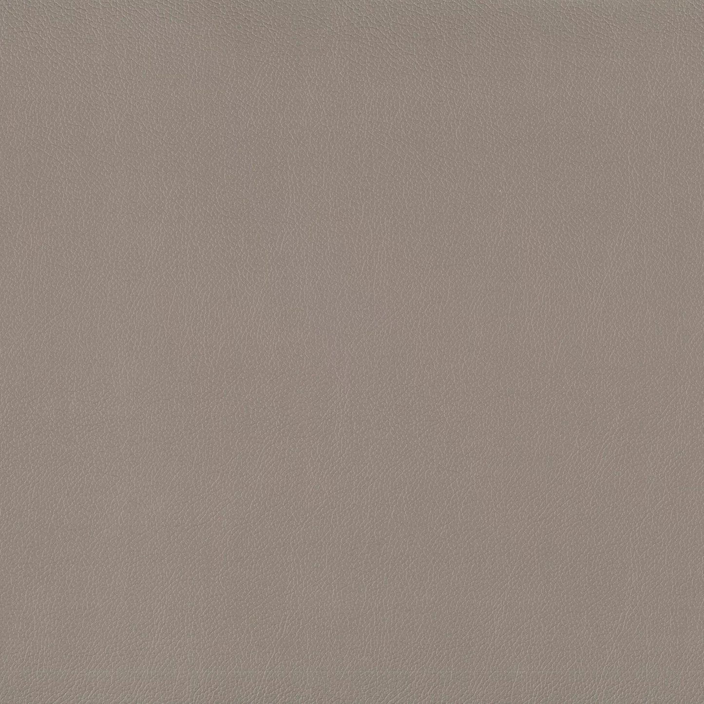 Lustrell Charisma by Warwick Fabrics