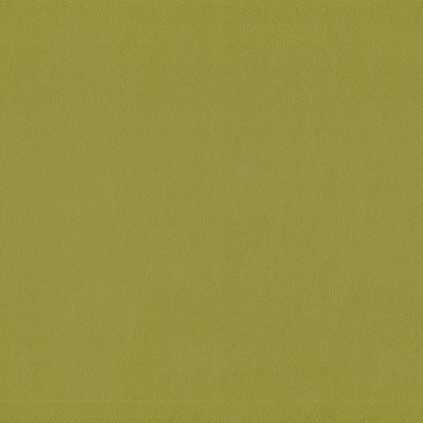 Lustrell Charisma by Warwick Fabrics