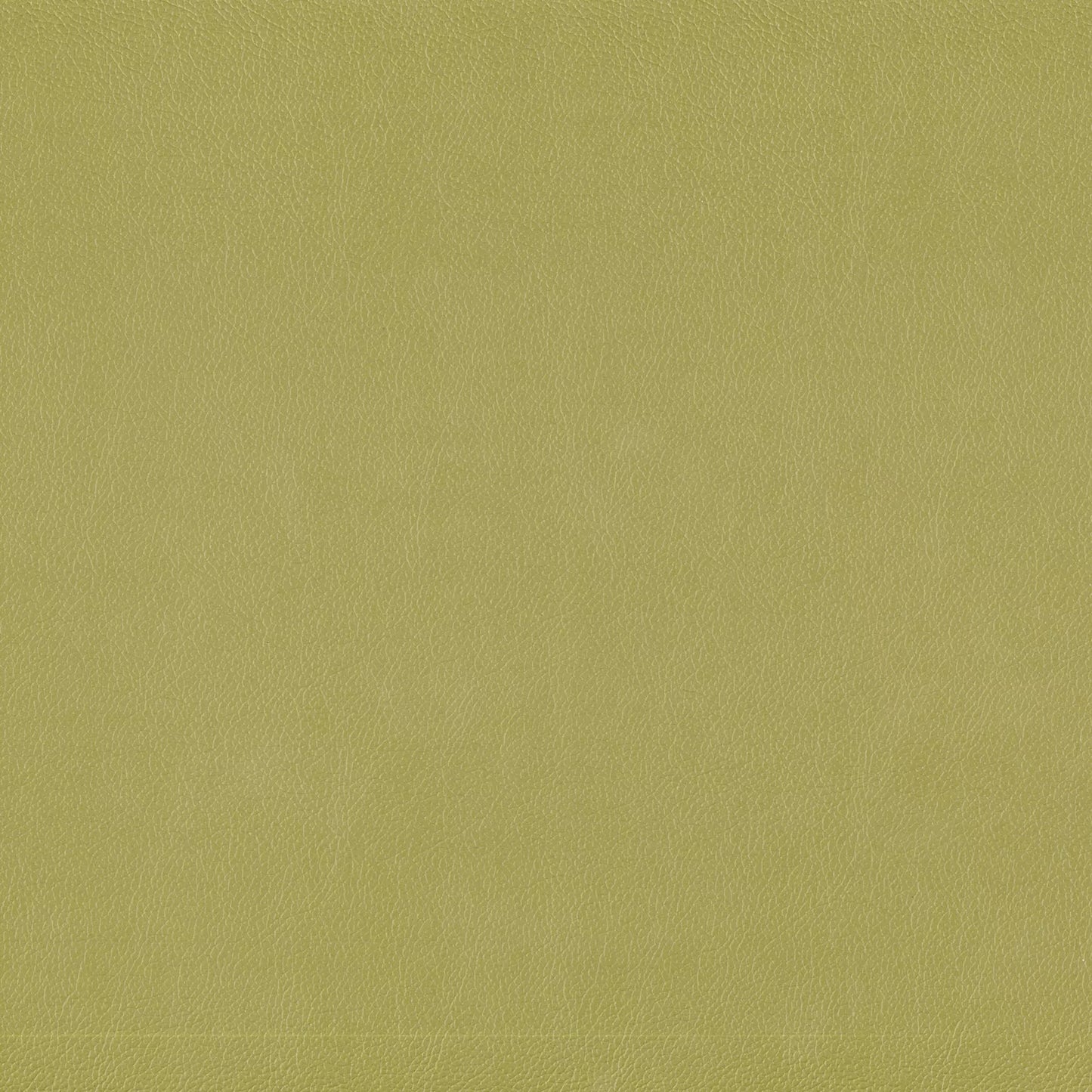 Lustrell Charisma by Warwick Fabrics