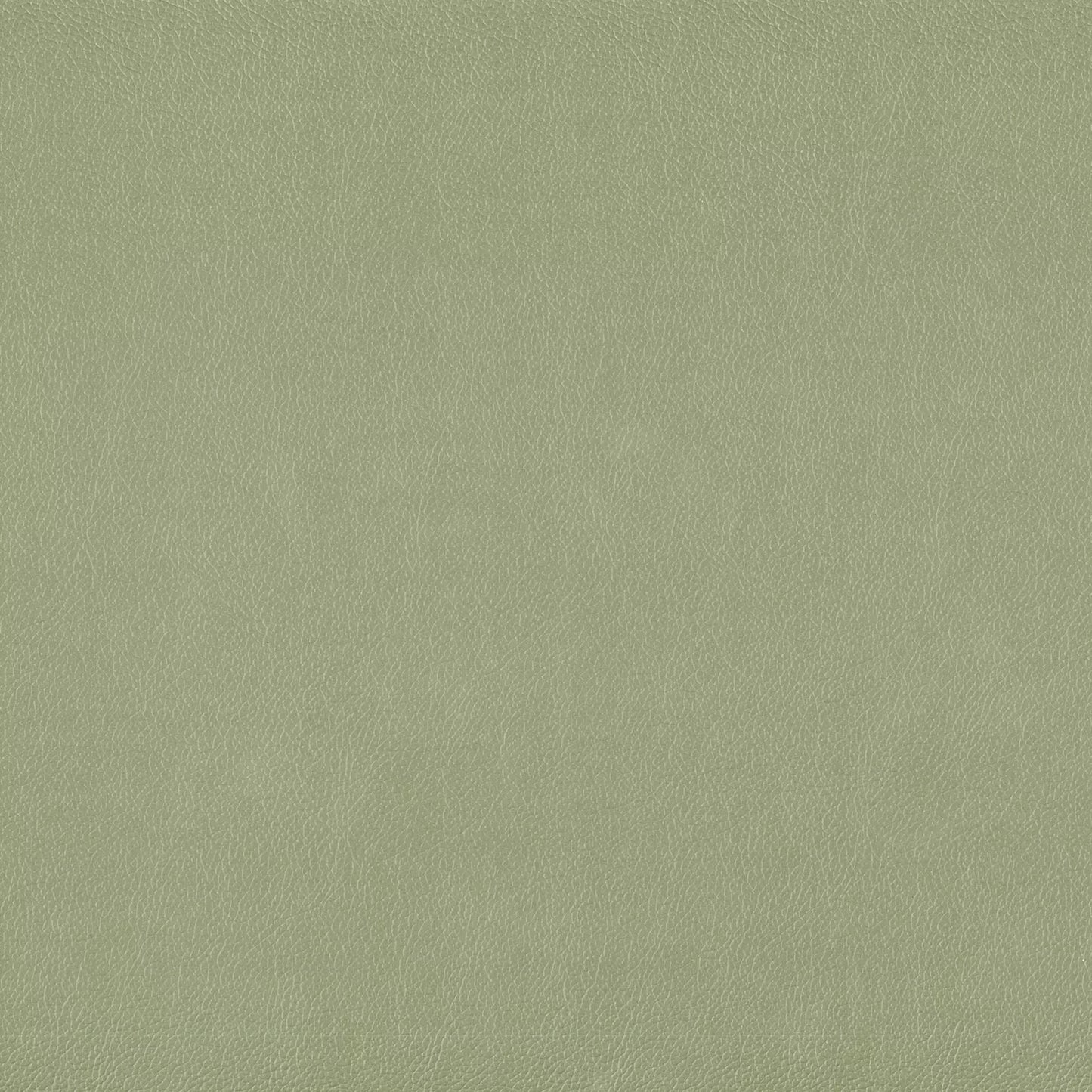 Lustrell Charisma by Warwick Fabrics