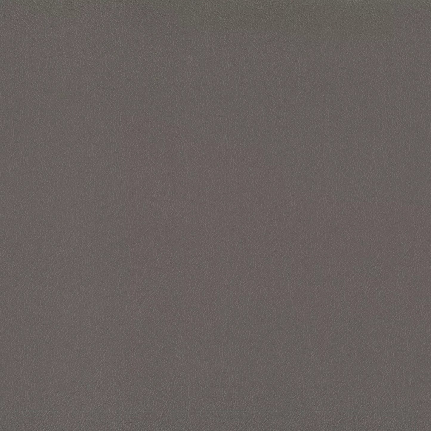 Lustrell Charisma by Warwick Fabrics