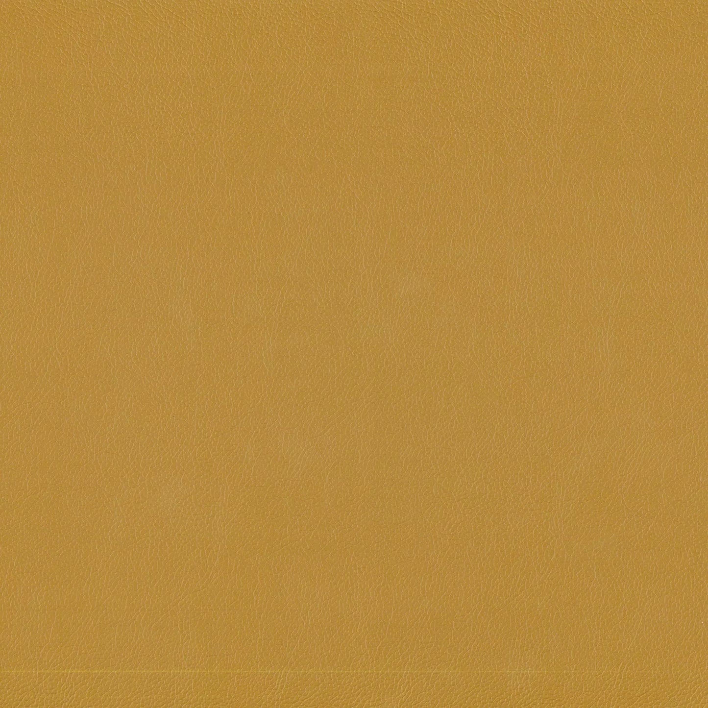 Lustrell Charisma by Warwick Fabrics