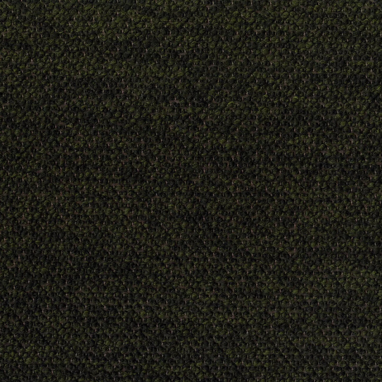 Levanzo Forest by Warwick Fabrics