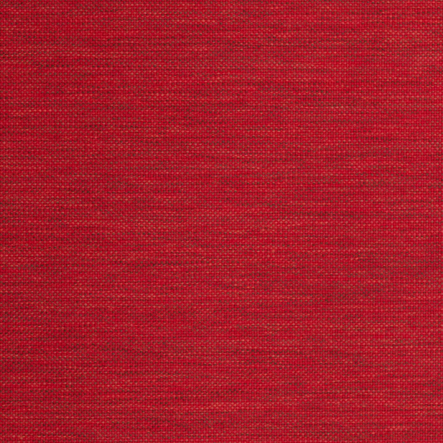 Lomani by Warwick Fabrics