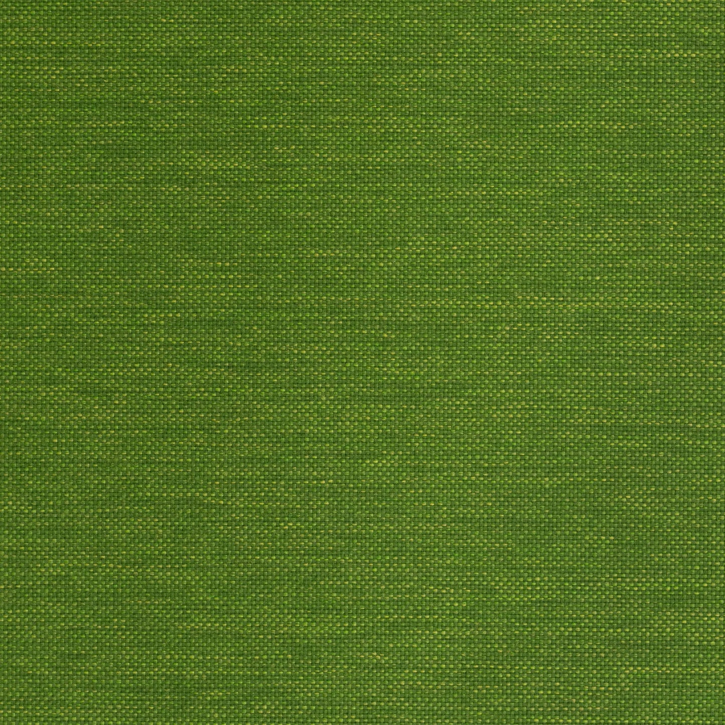 Lomani by Warwick Fabrics