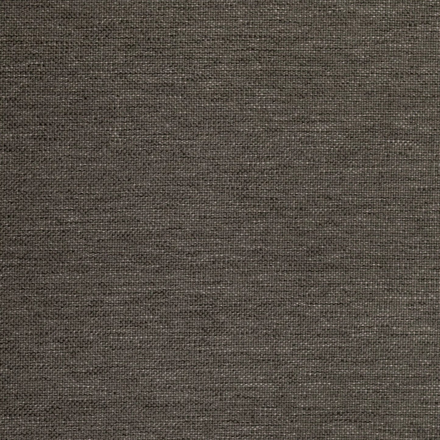 Lomani by Warwick Fabrics