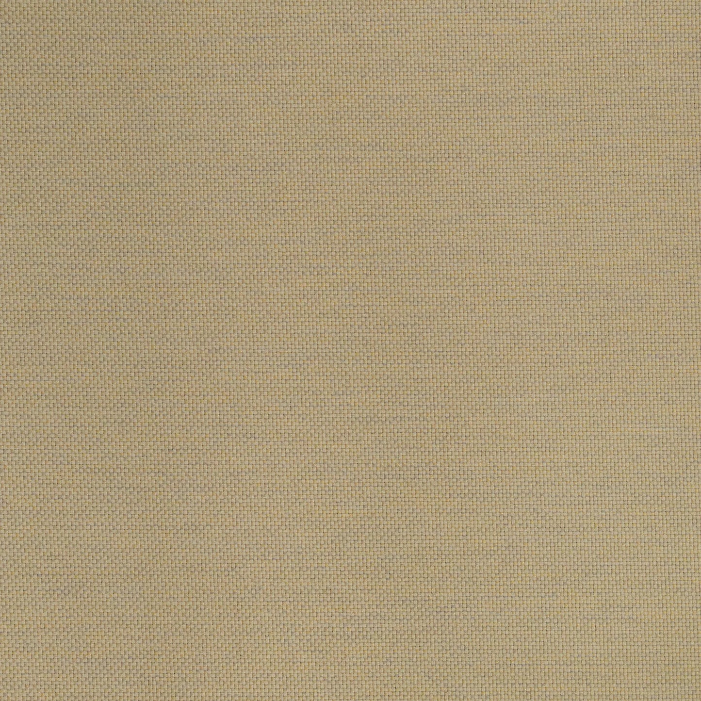 Lomani by Warwick Fabrics