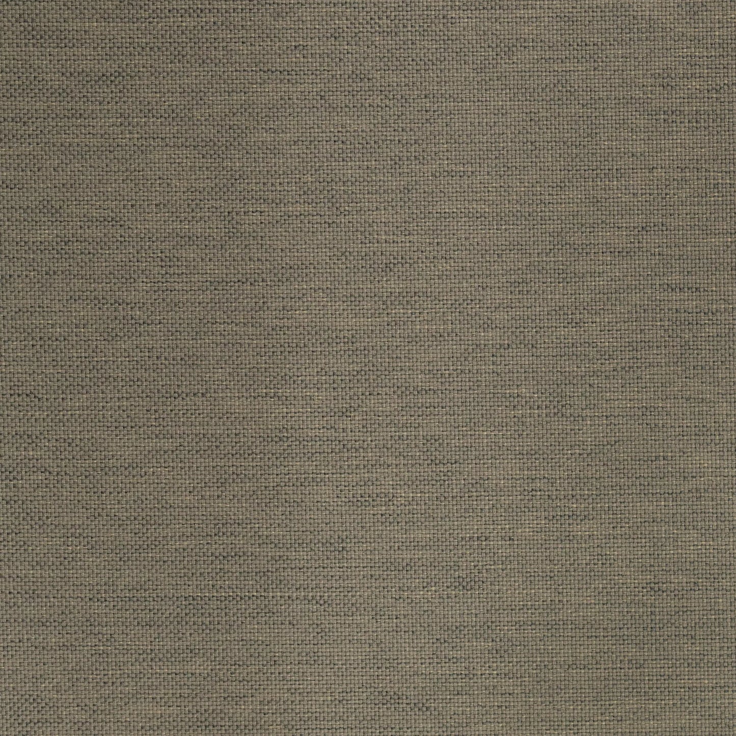 Lomani by Warwick Fabrics