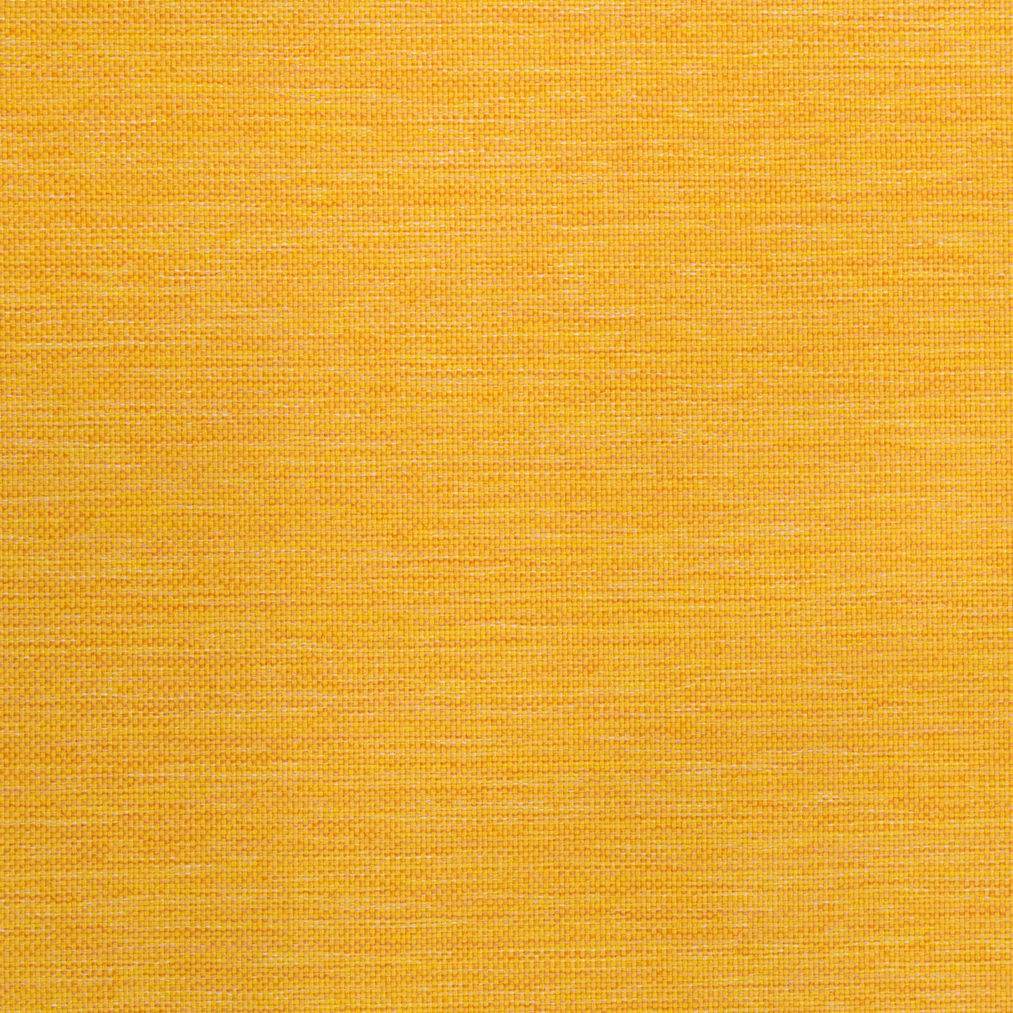 Lomani by Warwick Fabrics