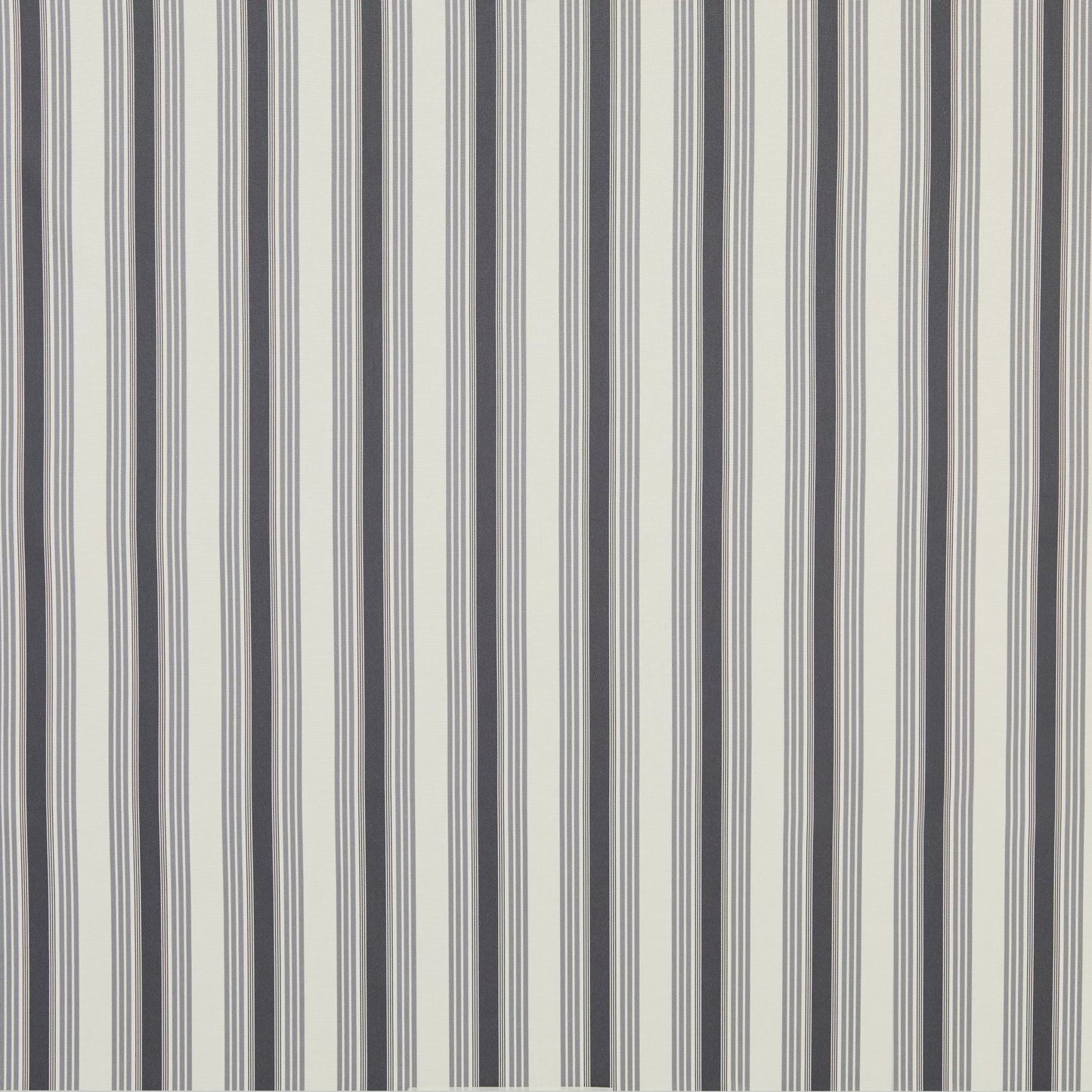 Mirren Charcoal by Warwick Fabrics