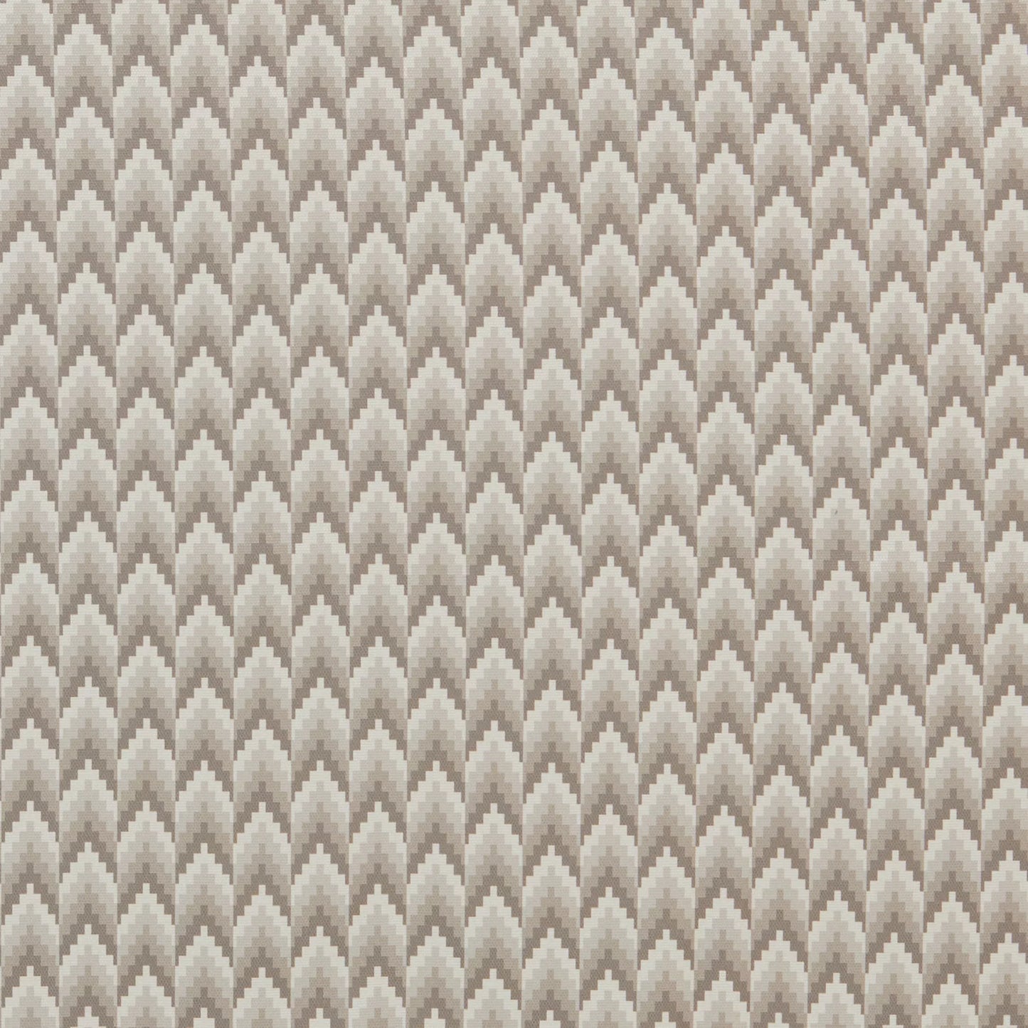 Mabel Charcoal by Warwick Fabrics