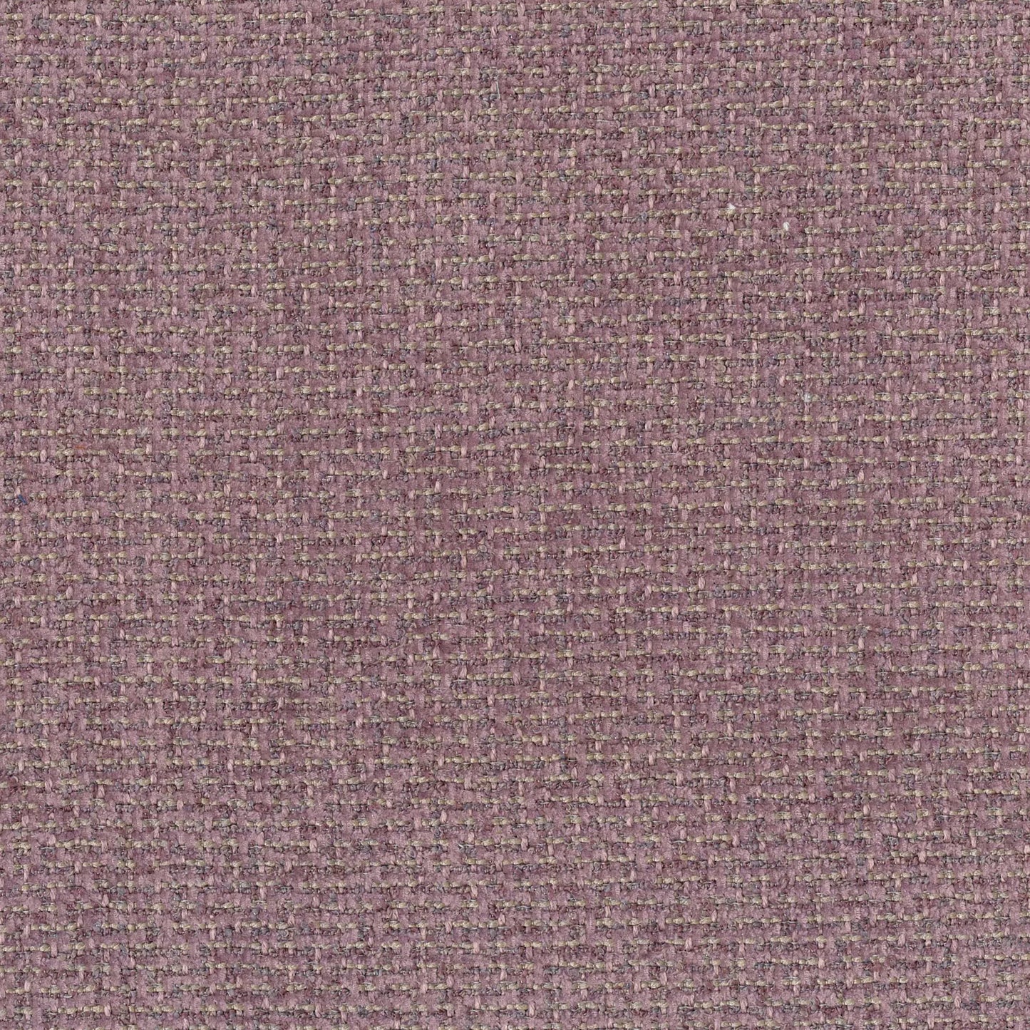 Maclaren Alabaster by Warwick Fabrics