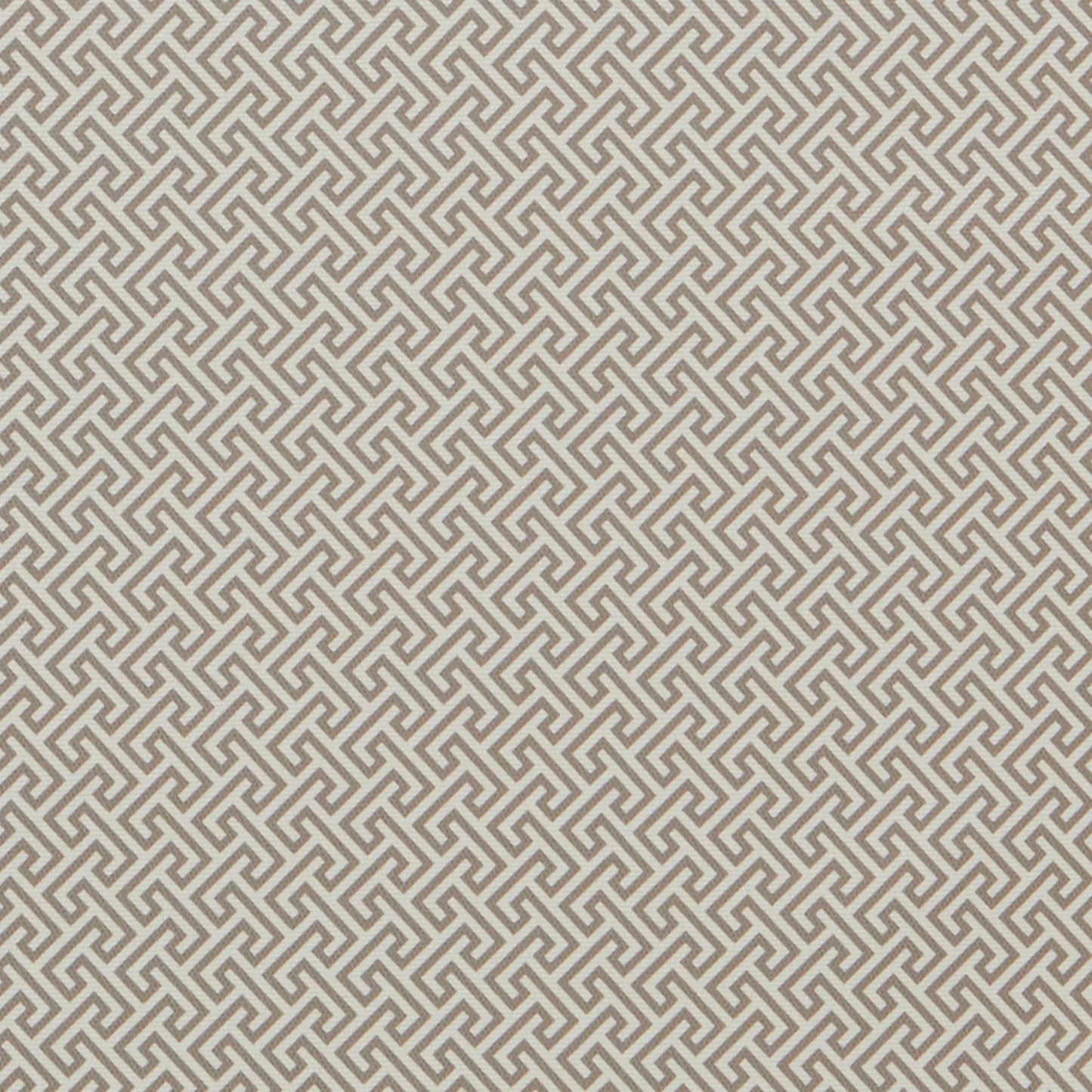 Macaulay Charcoal by Warwick Fabrics