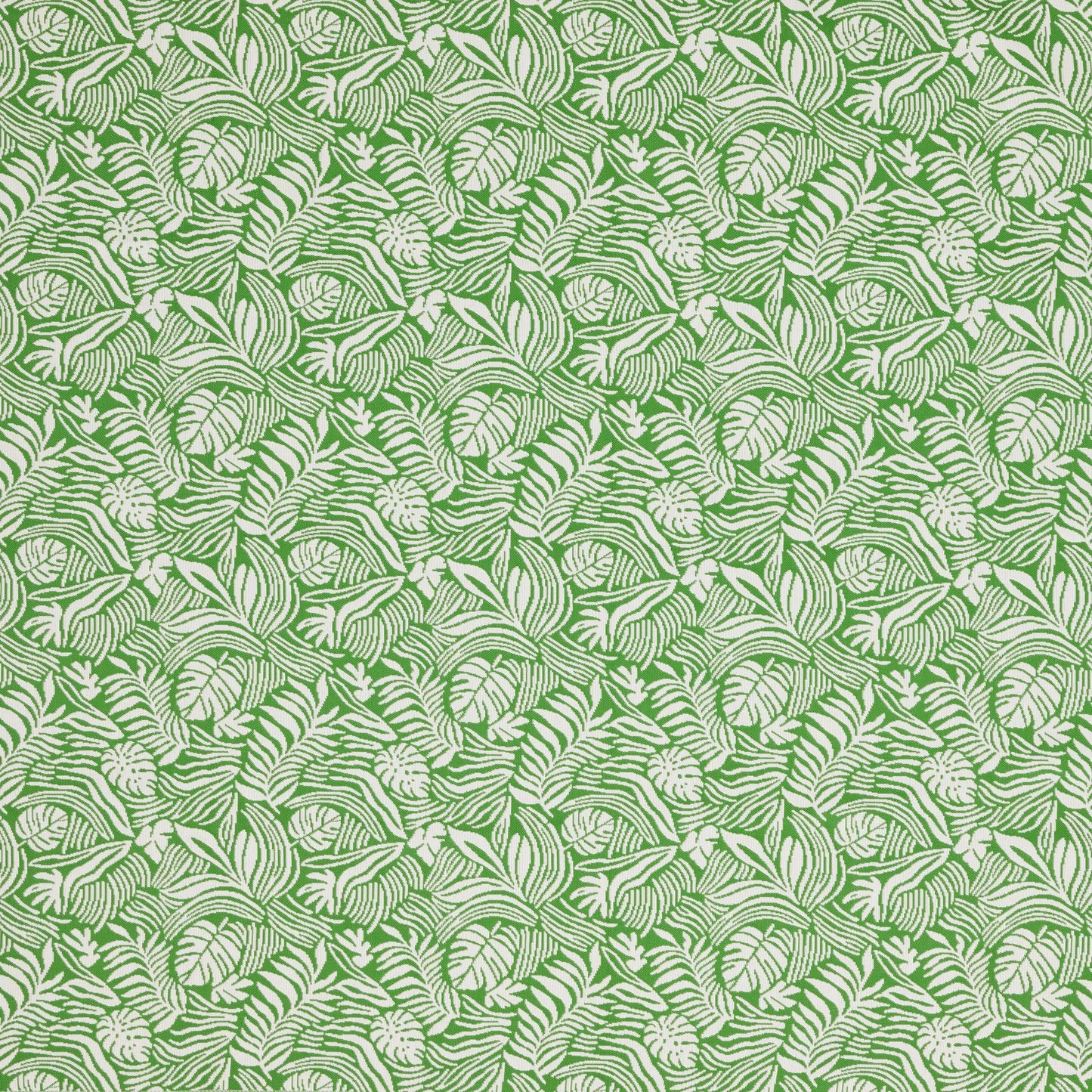 McCrae Monstera by Warwick Fabrics