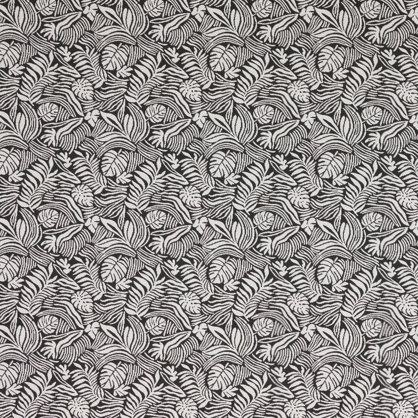 McCrae Orca by Warwick Fabrics