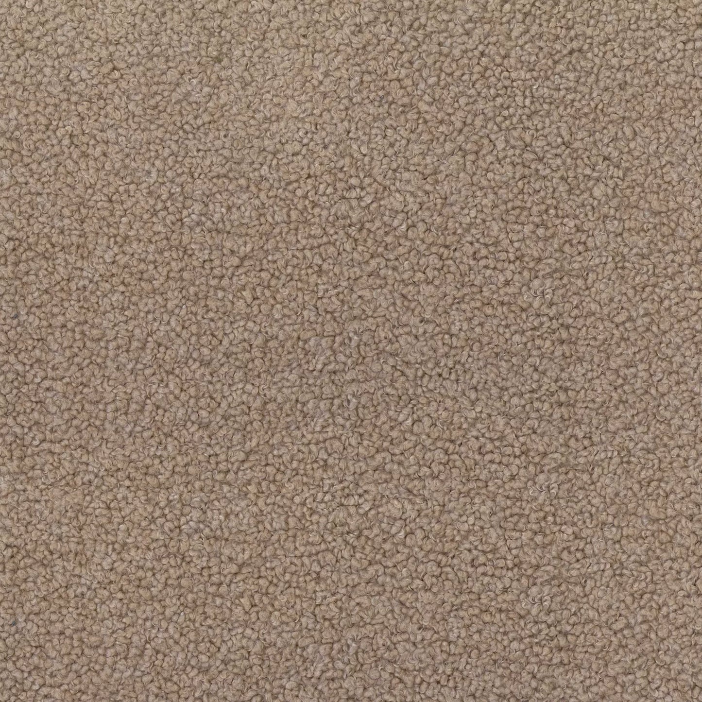 Mishka Dune by Warwick Fabrics