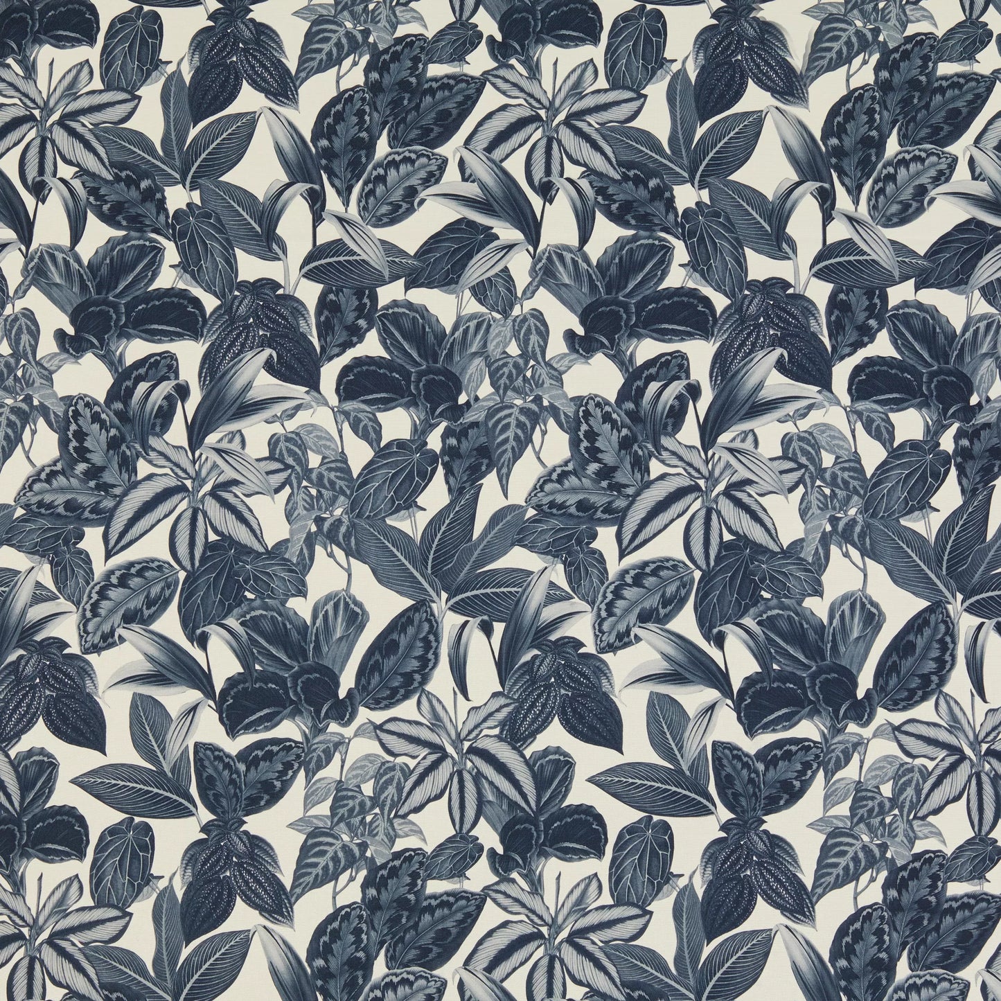 Mackenzie Charcoal by Warwick Fabrics