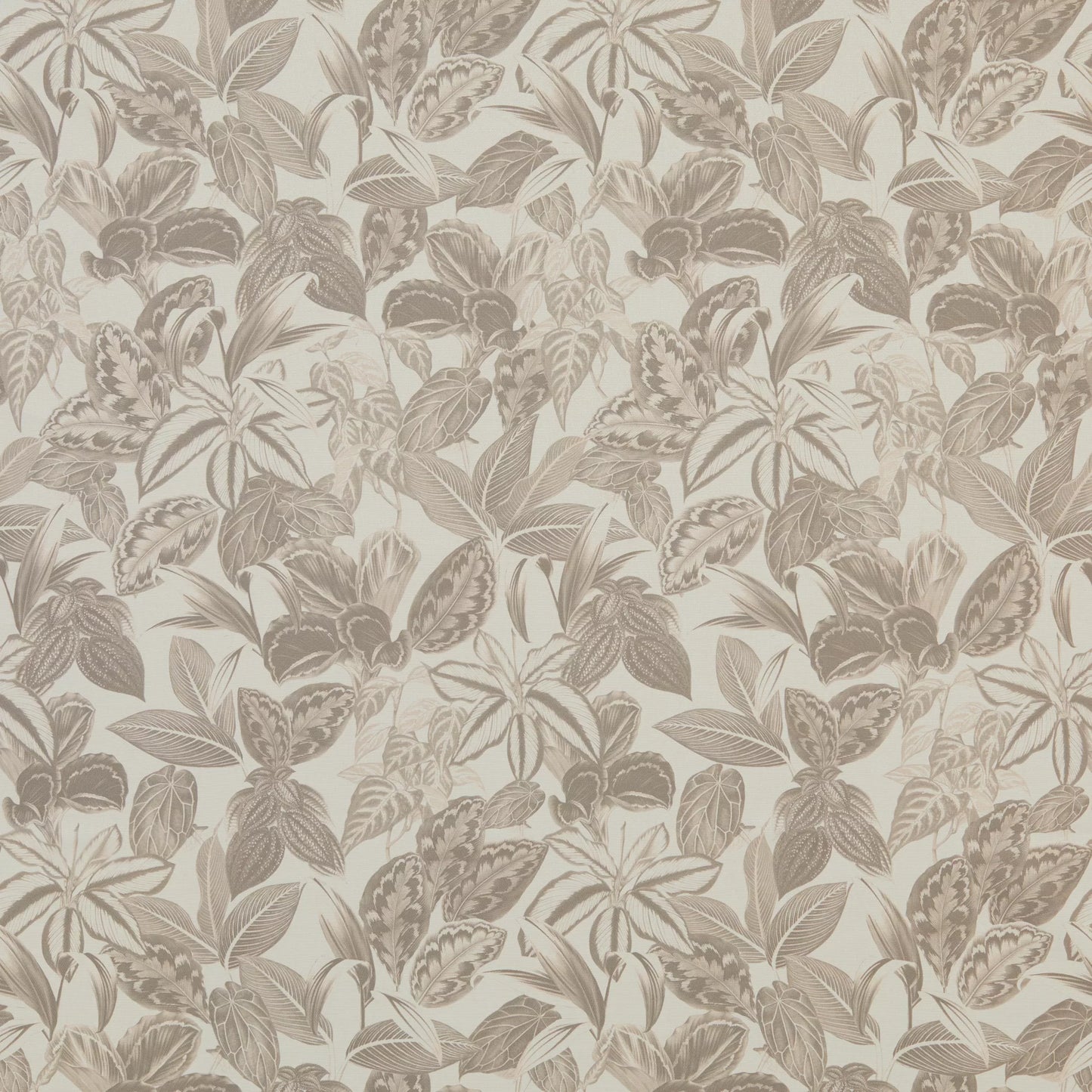 Mackenzie Charcoal by Warwick Fabrics