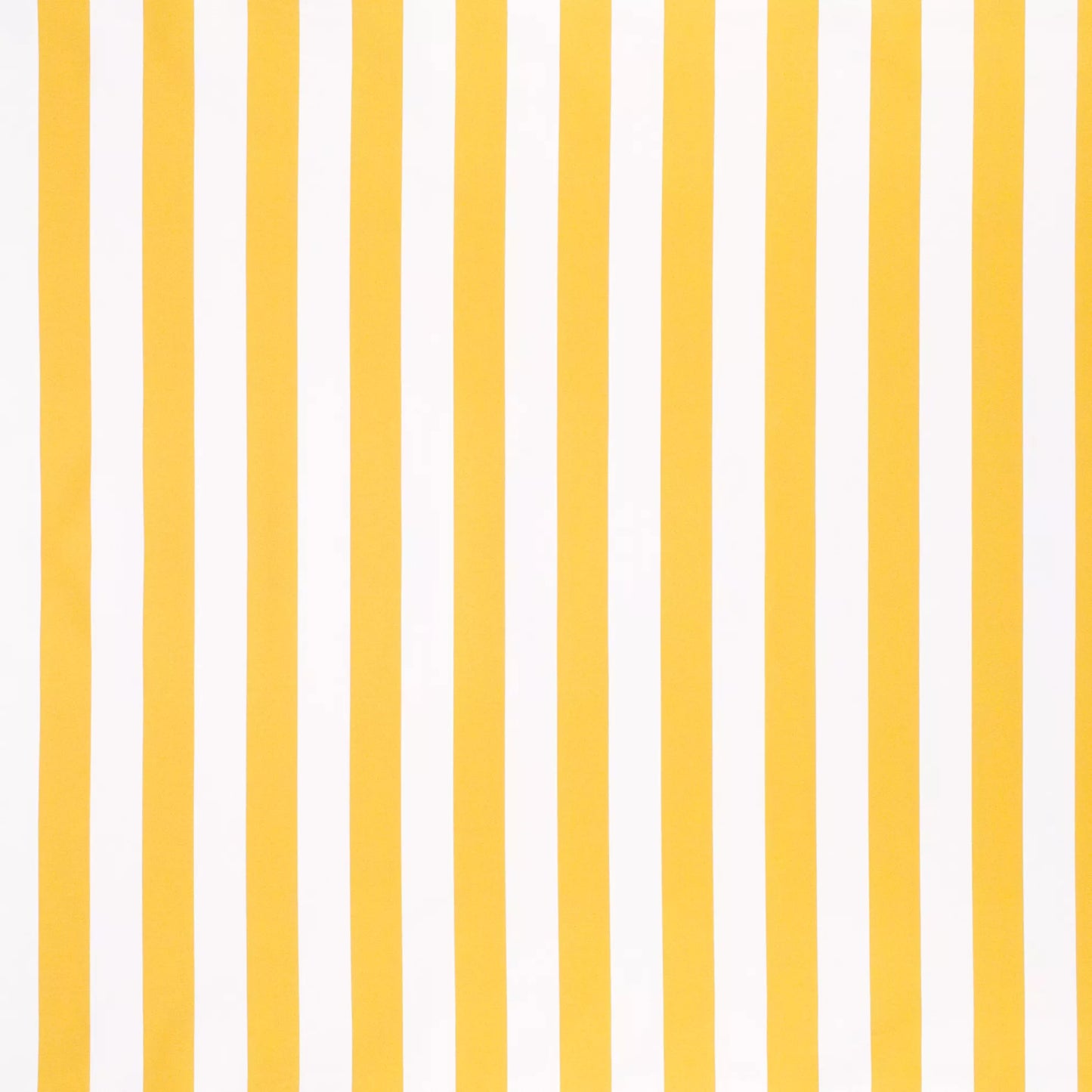 Mallacoota Sunshine by Warwick Fabrics