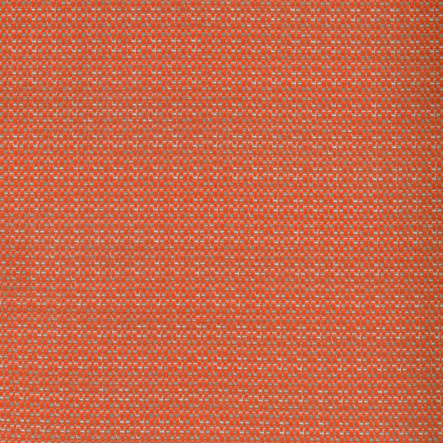 Mykonos Coral by Warwick Fabrics