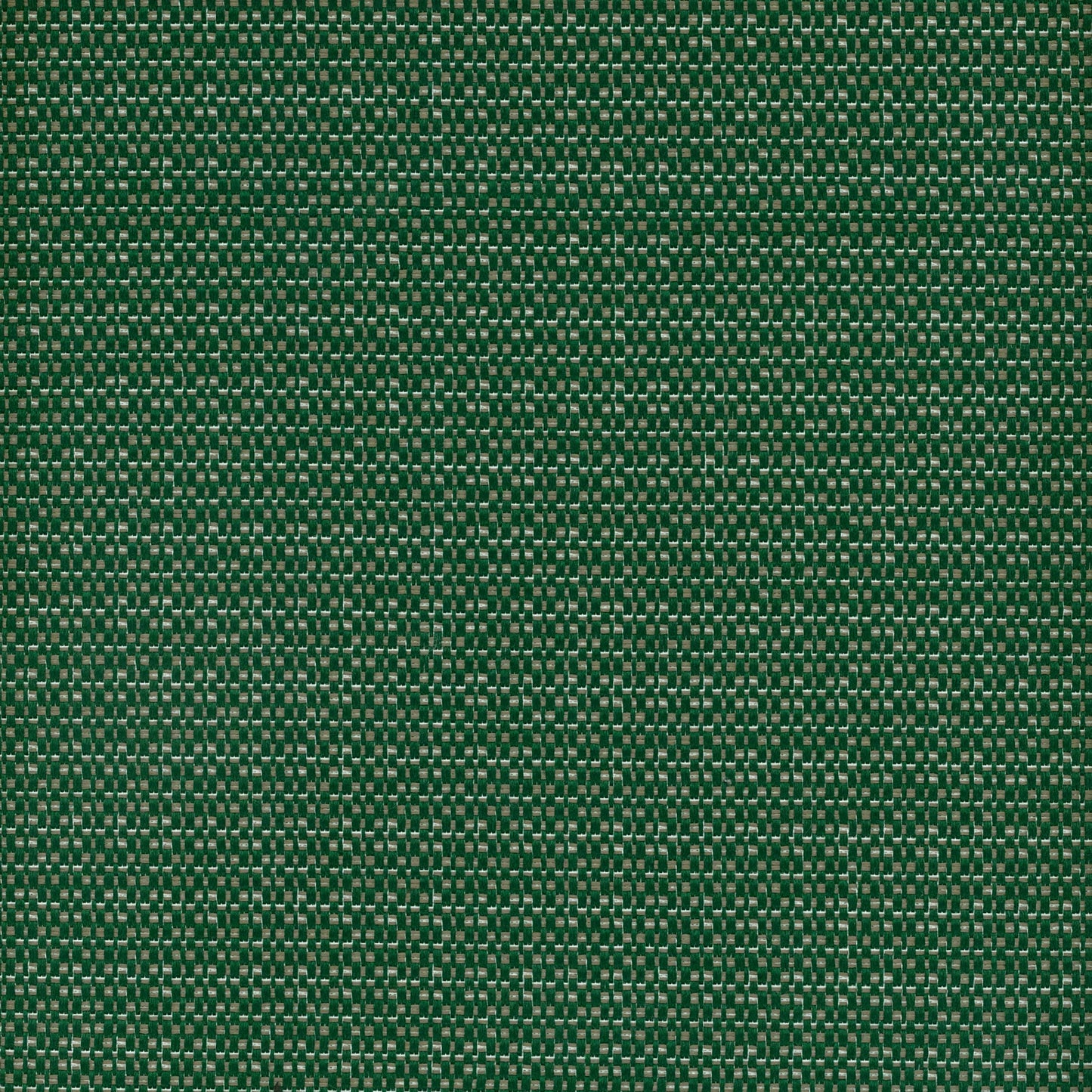 Mykonos Forest by Warwick Fabrics