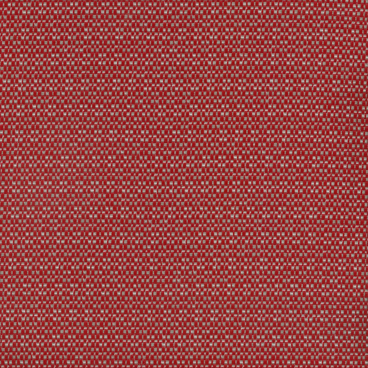 Mykonos Lobster by Warwick Fabrics