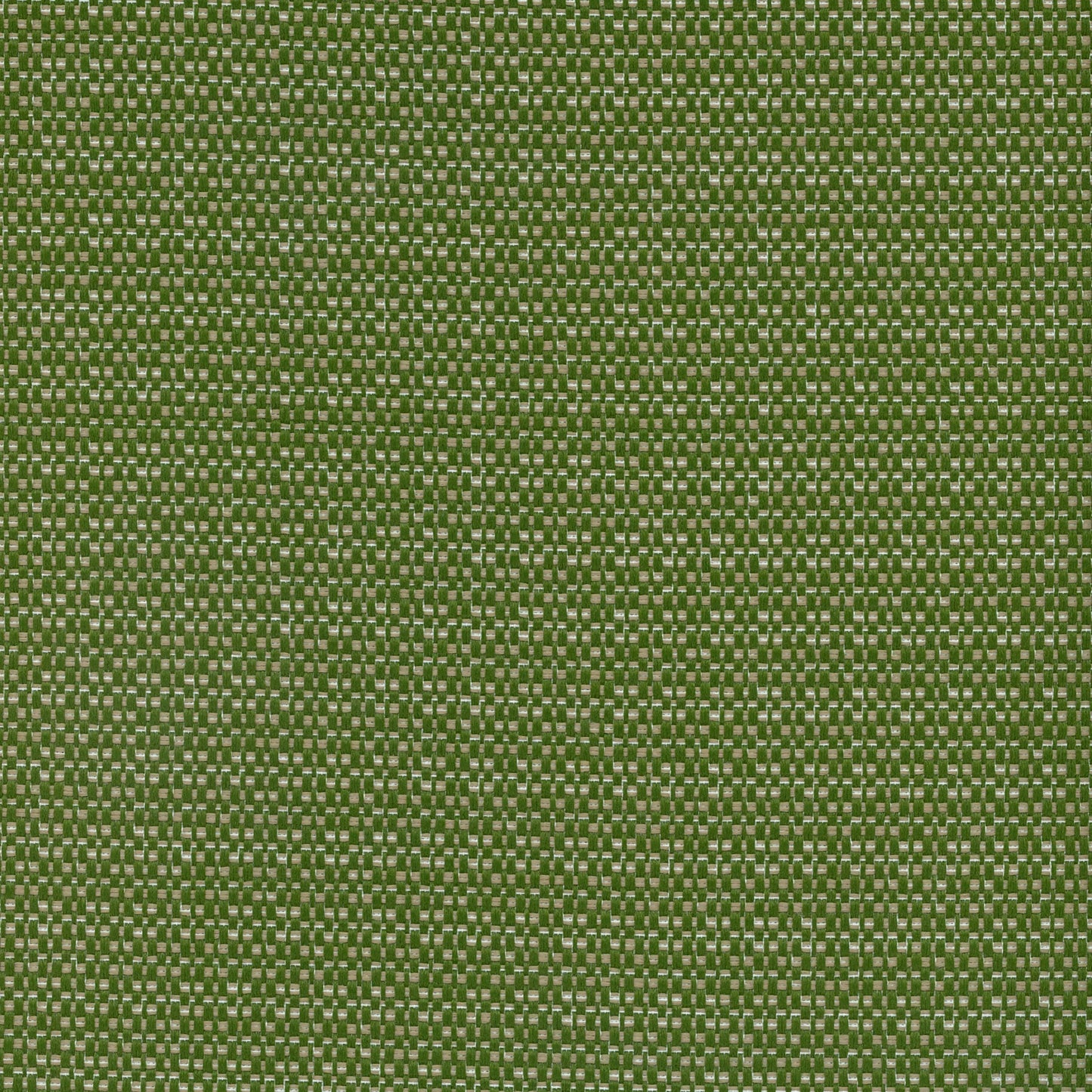 Mykonos Palm by Warwick Fabrics