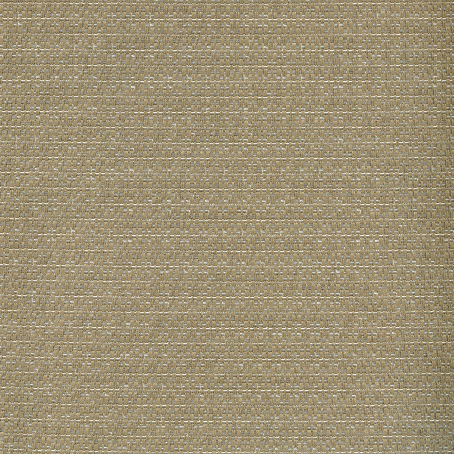Mykonos Sand by Warwick Fabrics