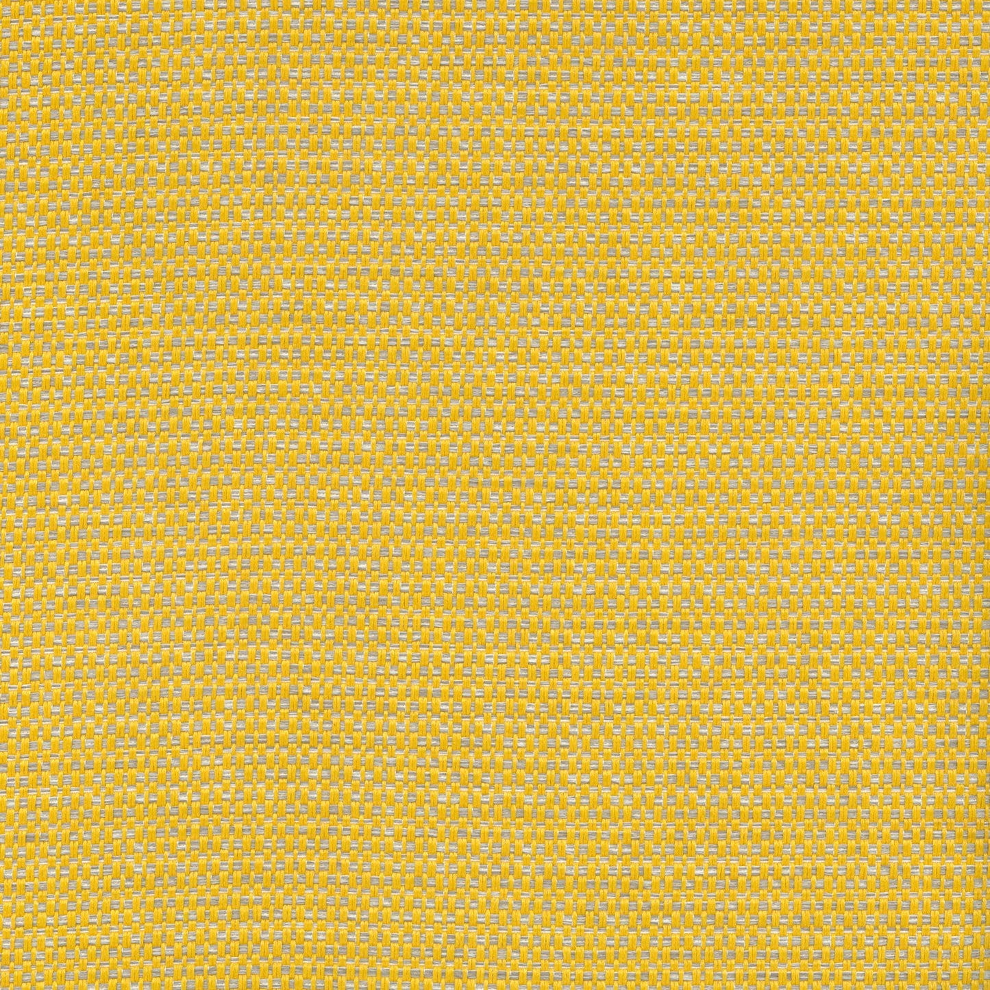 Mykonos Sunshine by Warwick Fabrics