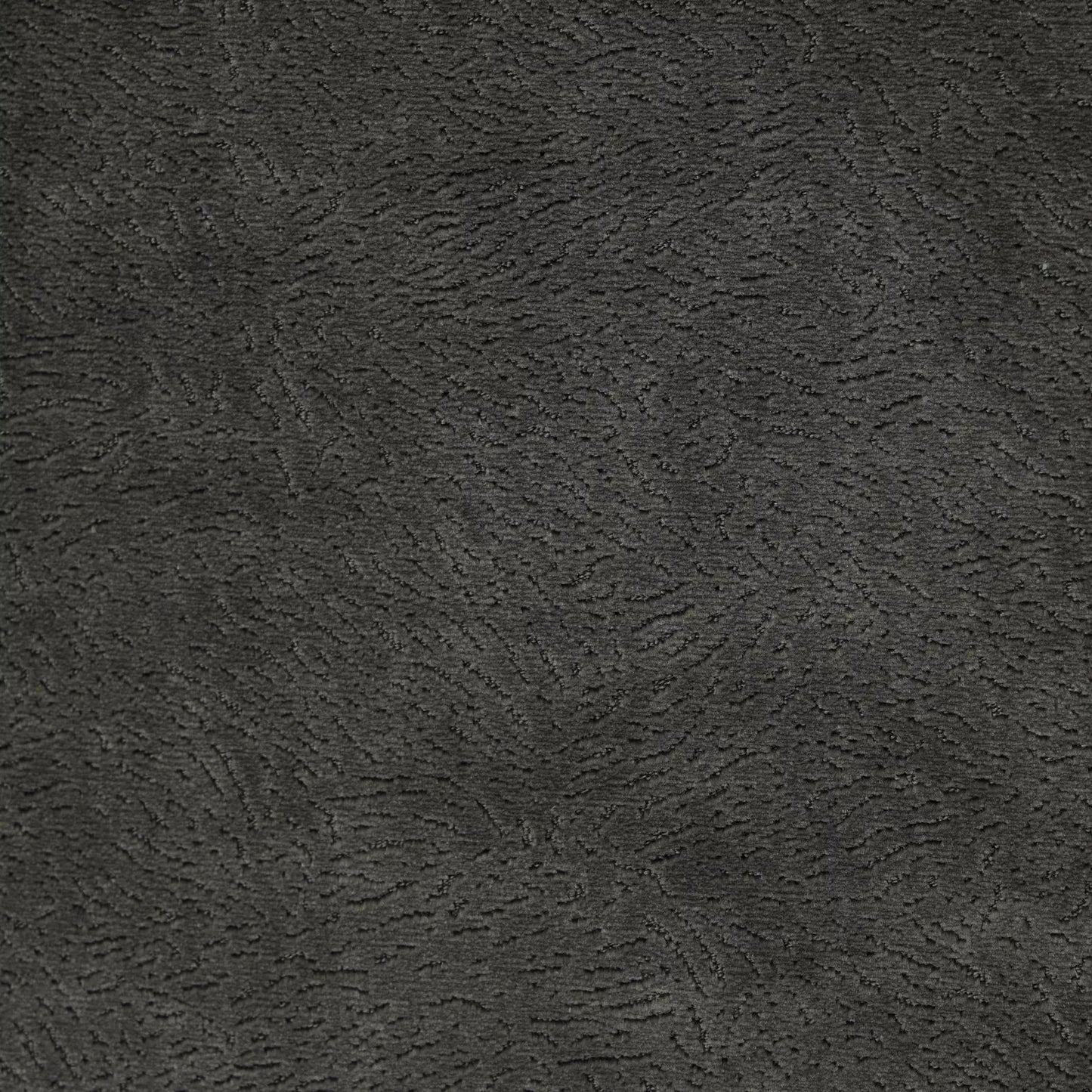 Newman Charcoal by Warwick Fabrics