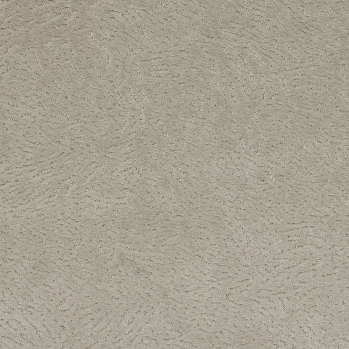 Newman Clamshell by Warwick Fabrics