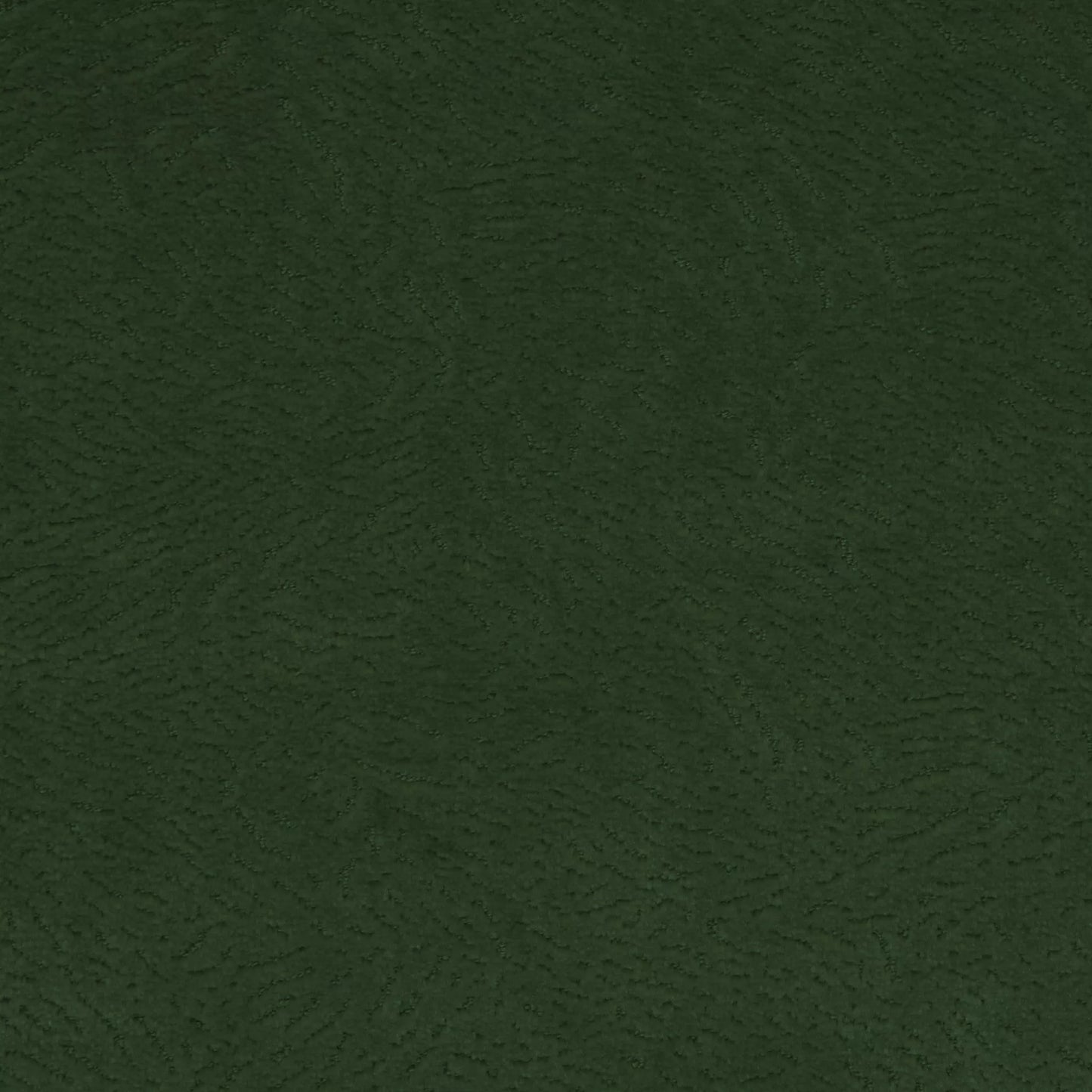Newman Eucalyptus by Warwick Fabrics