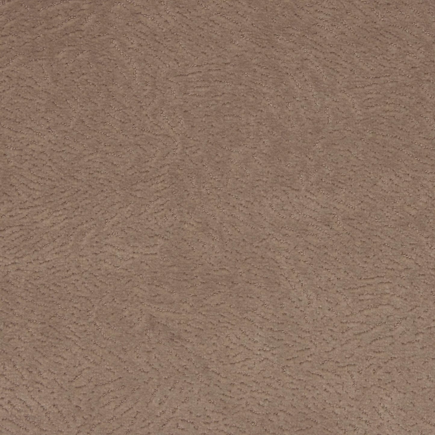 Newman Fawn by Warwick Fabrics