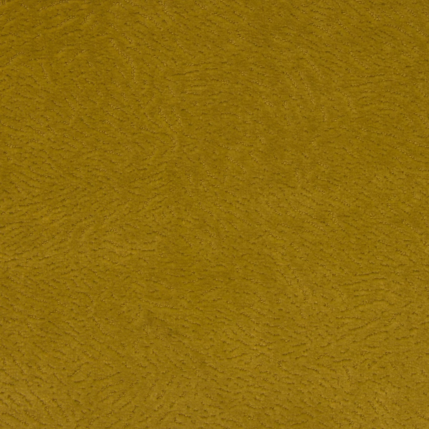 Newman Gold by Warwick Fabrics