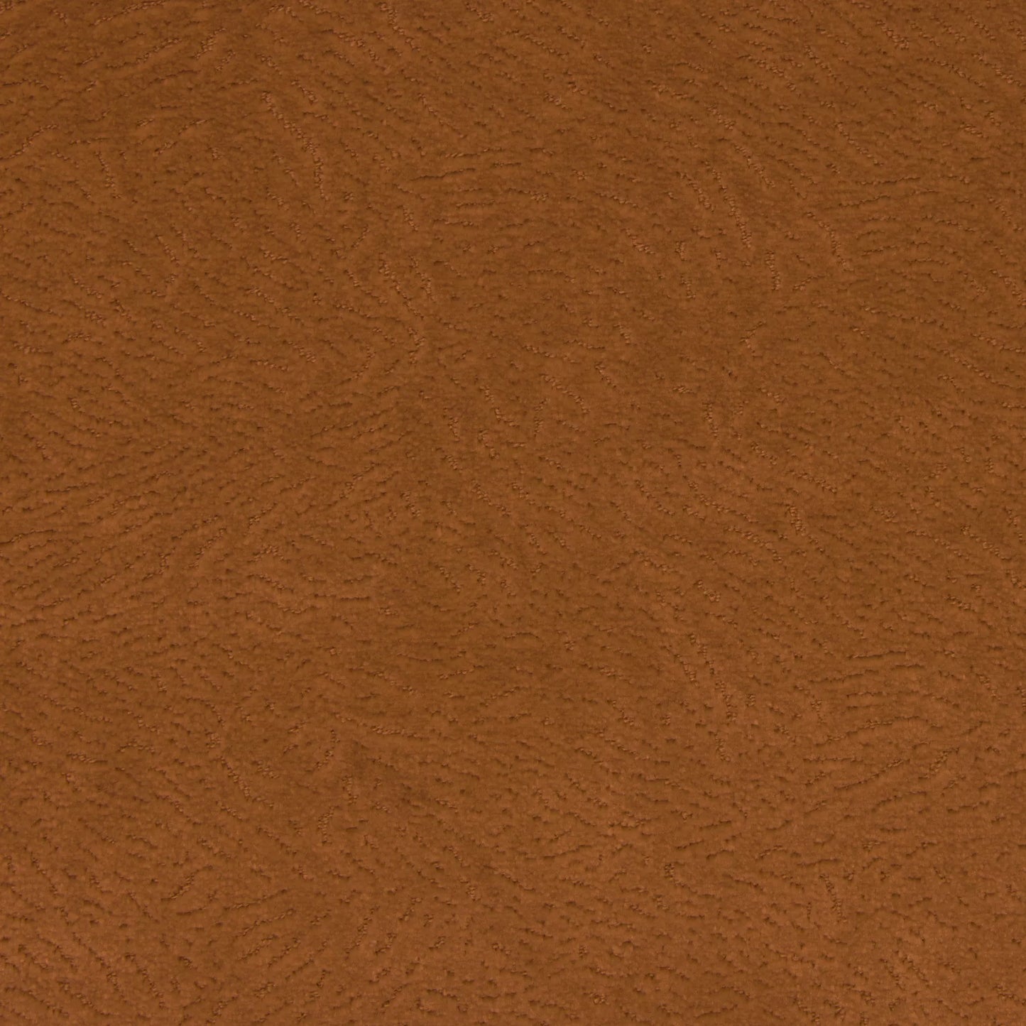 Newman Rust by Warwick Fabrics