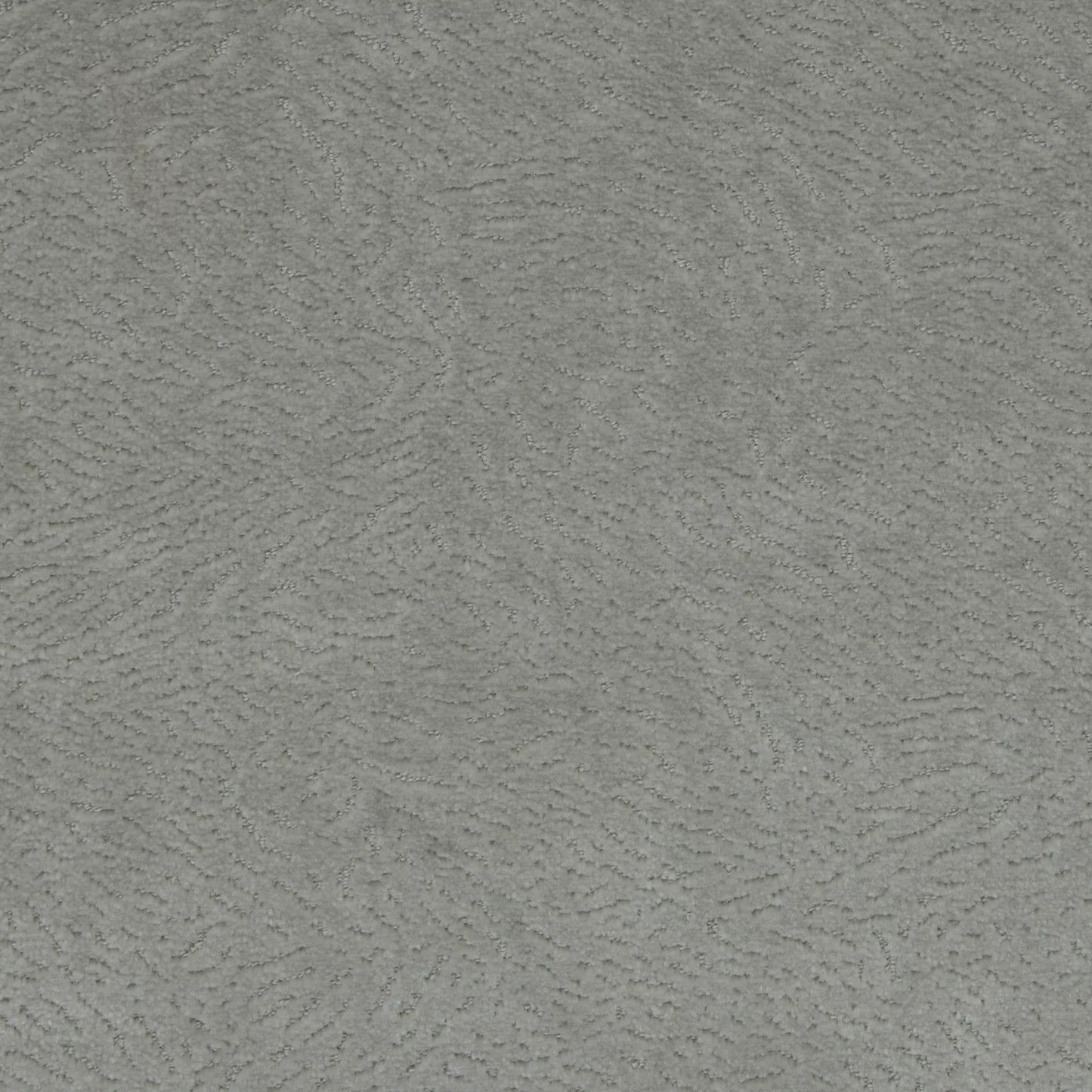 Newman Smoke by Warwick Fabrics