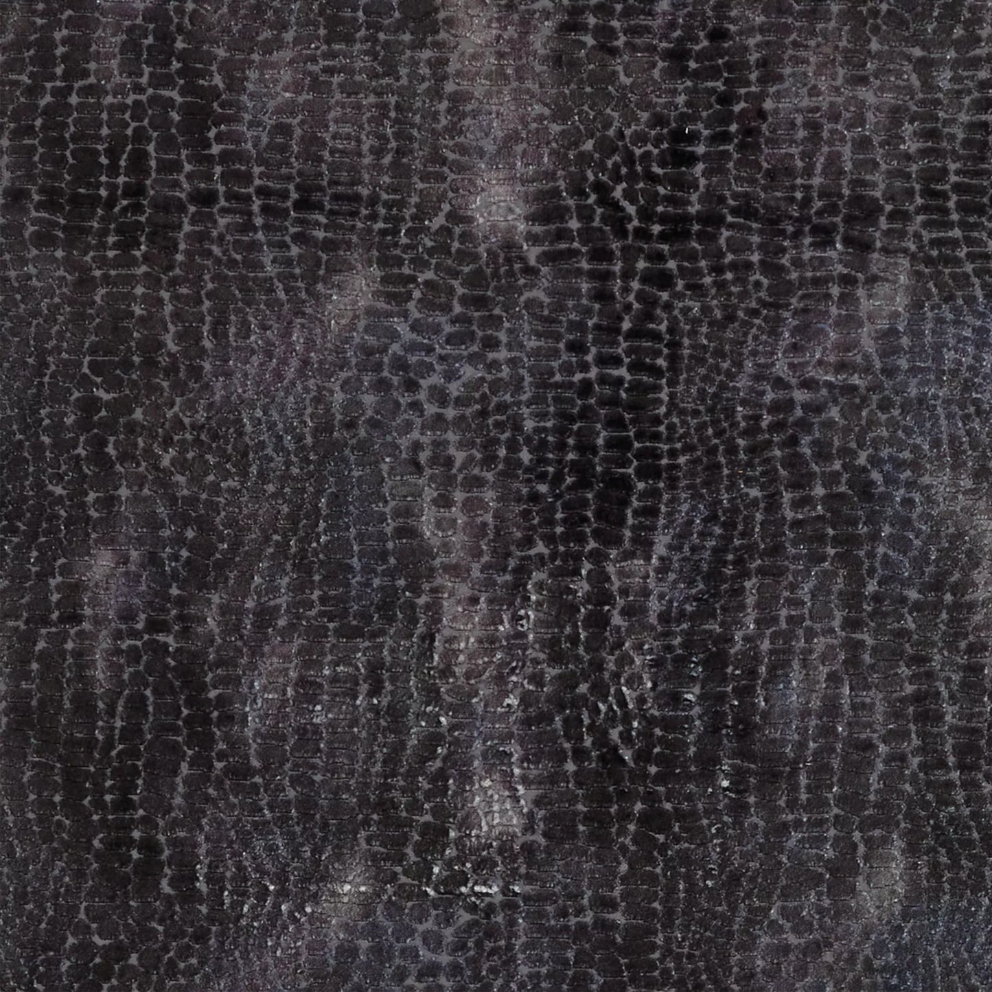 Nikita by Warwick Fabrics