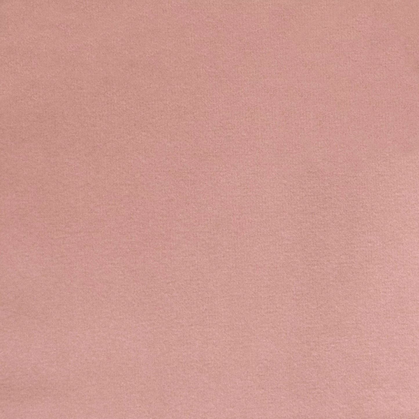 Novara Blossom by Warwick Fabrics