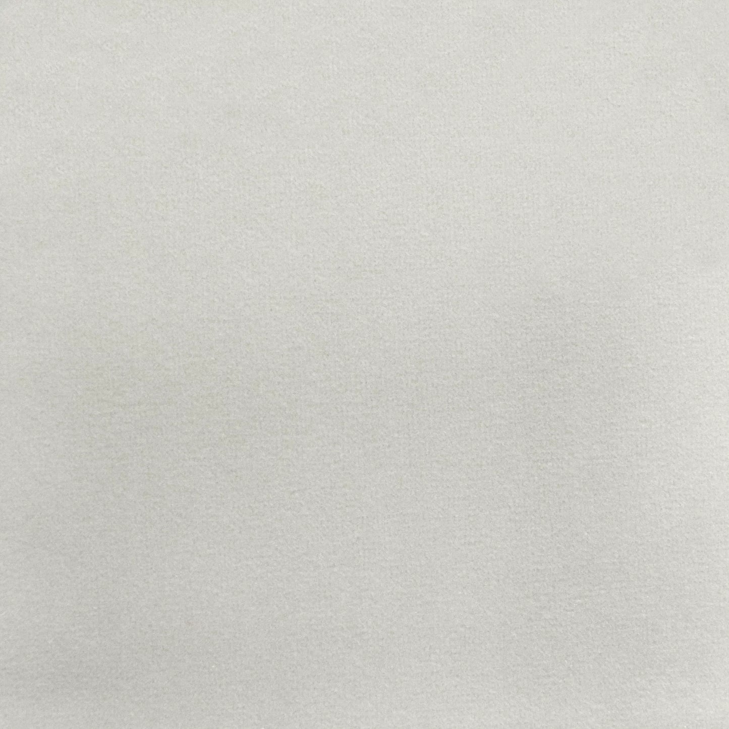 Novara Fog by Warwick Fabrics