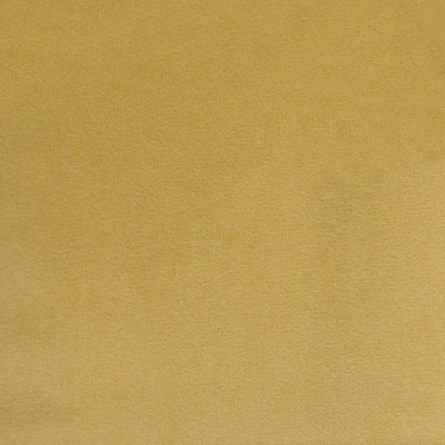 Novara Honey by Warwick Fabrics