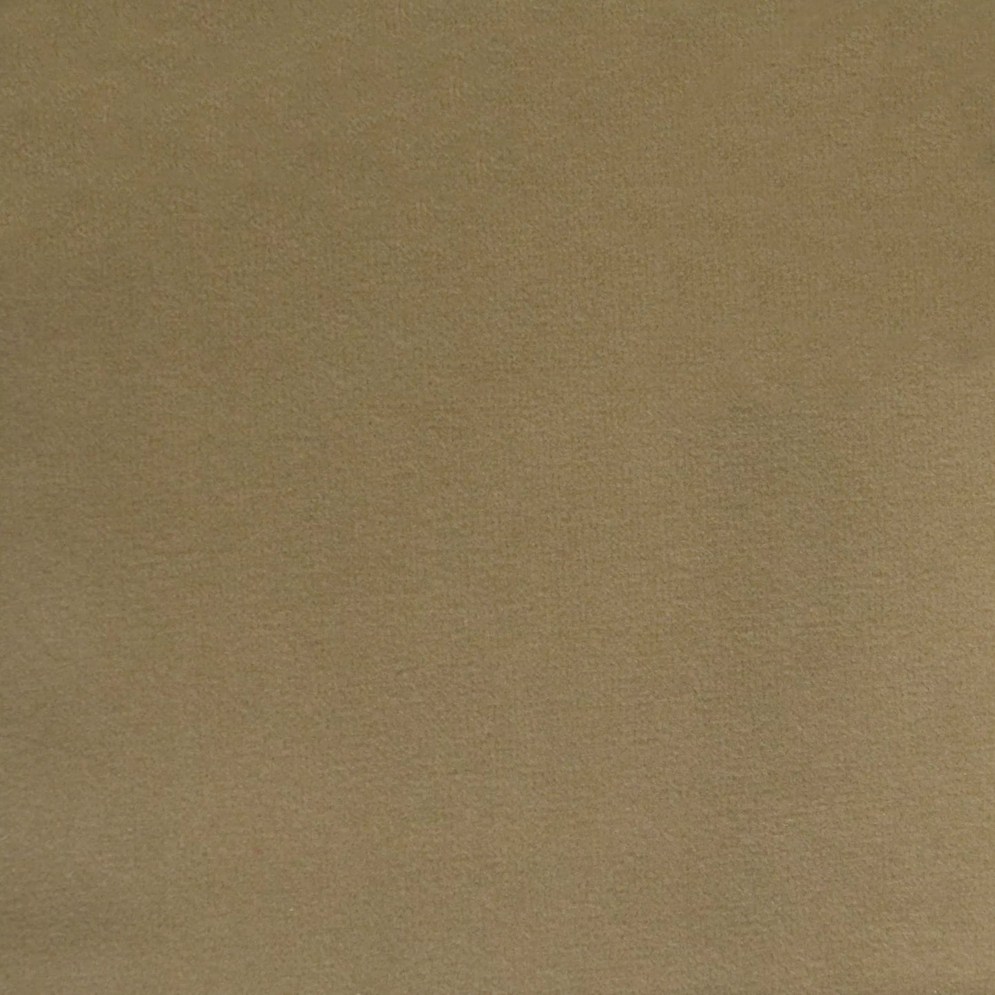 Novara Mocha by Warwick Fabrics