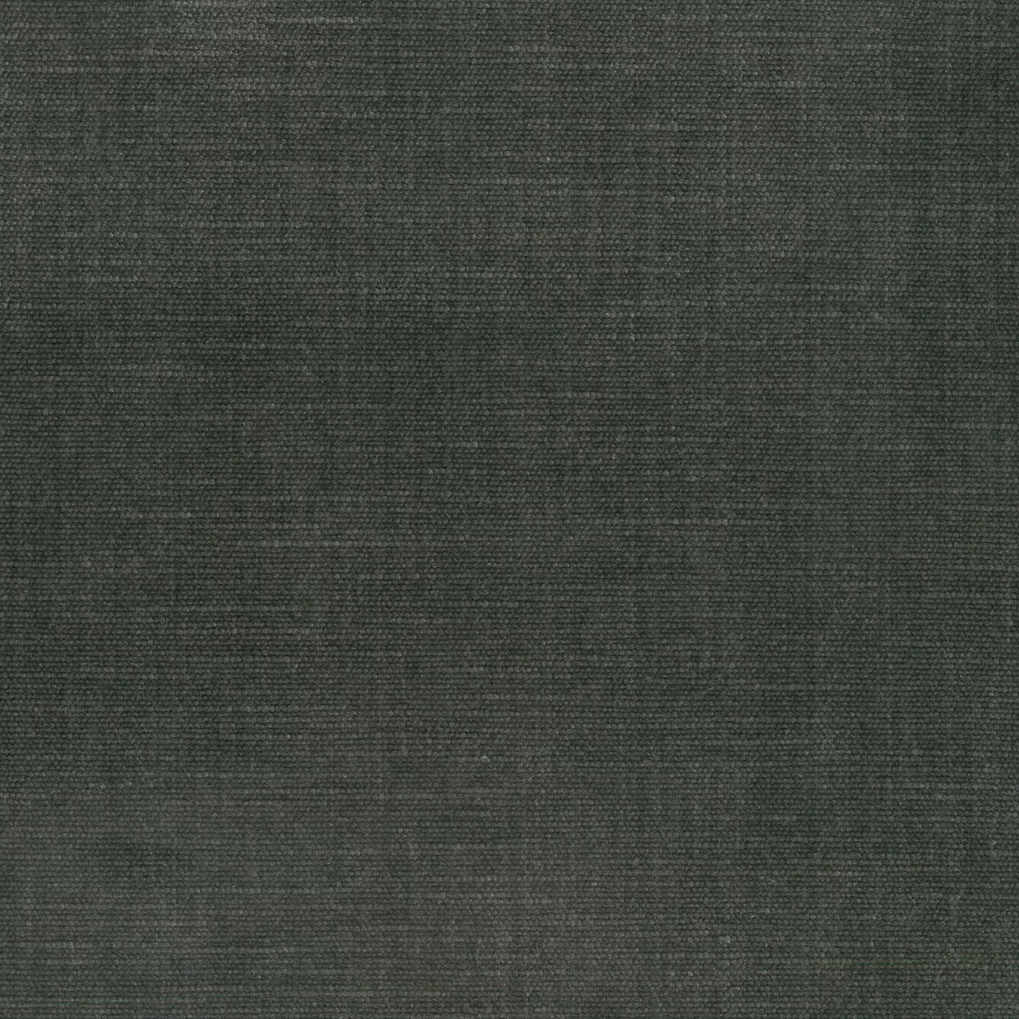 Orleans Asphalt by Warwick Fabrics