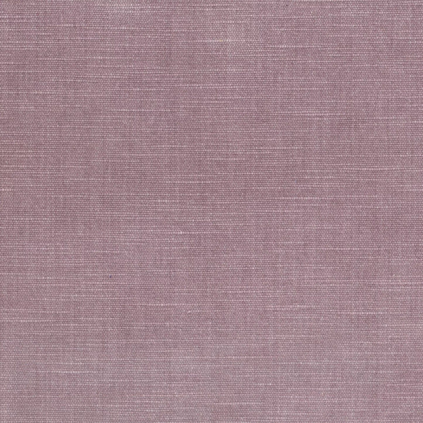 Orleans Lavender by Warwick Fabrics